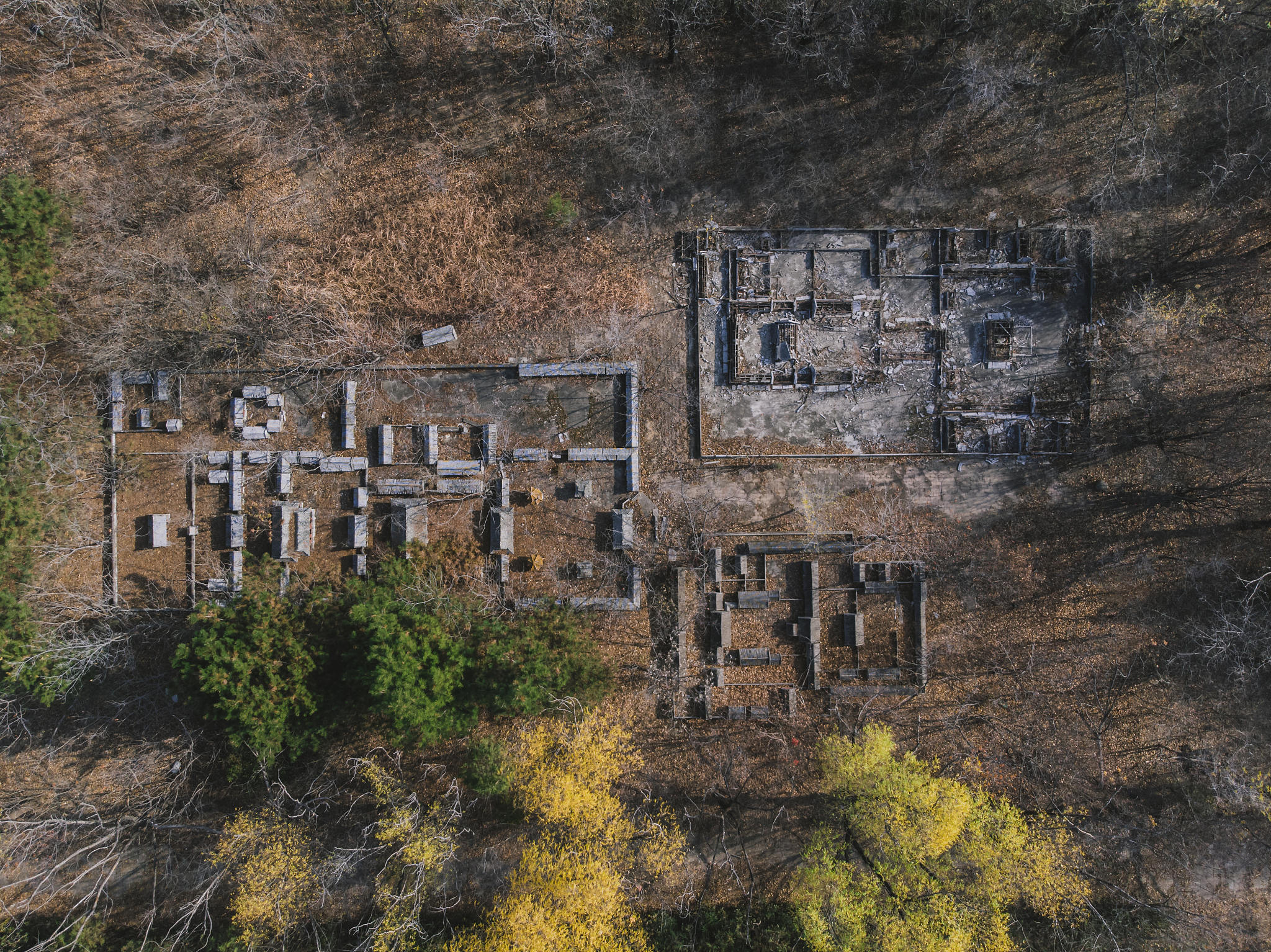 新疆9#井PDC钻头直定井试验效果评价