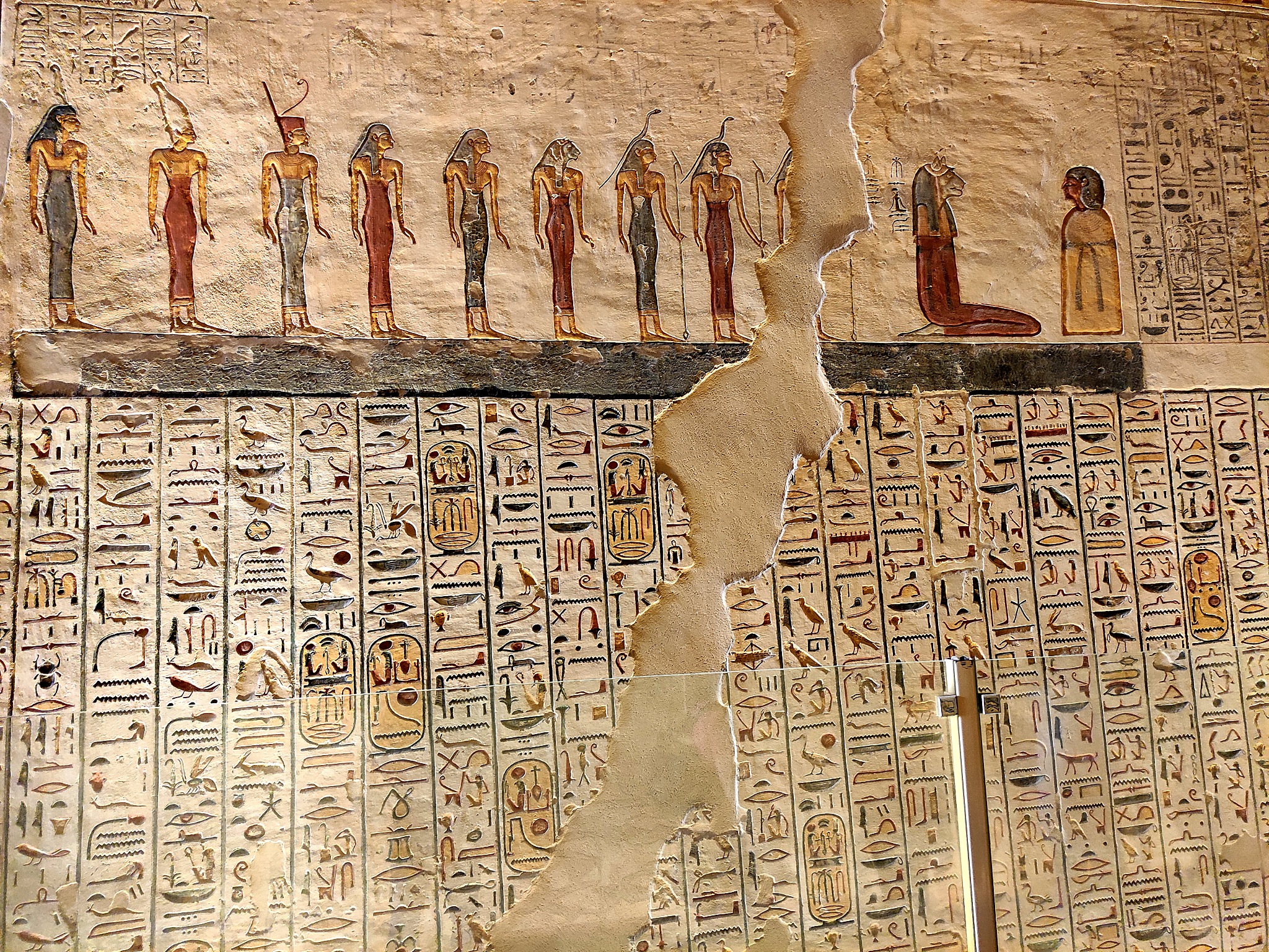 医学检验发展史：从古代观察到现代生物技术