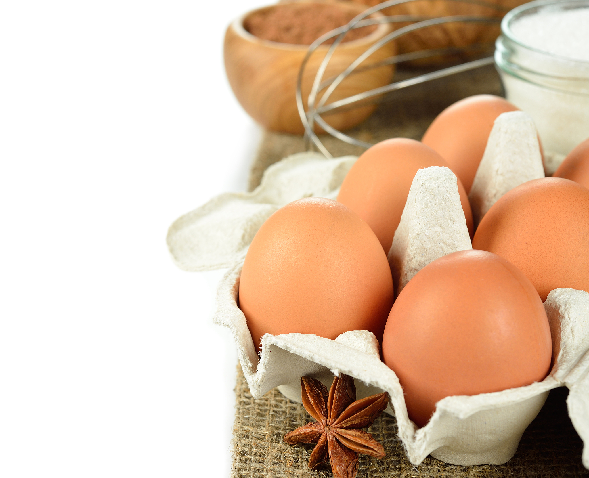fresh eggs