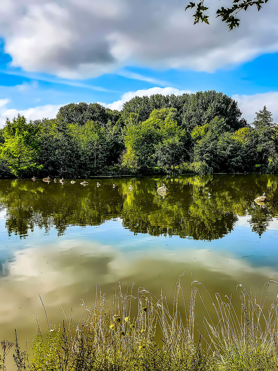 免费高清风景图片网站推荐 - 寻找完美自然影像