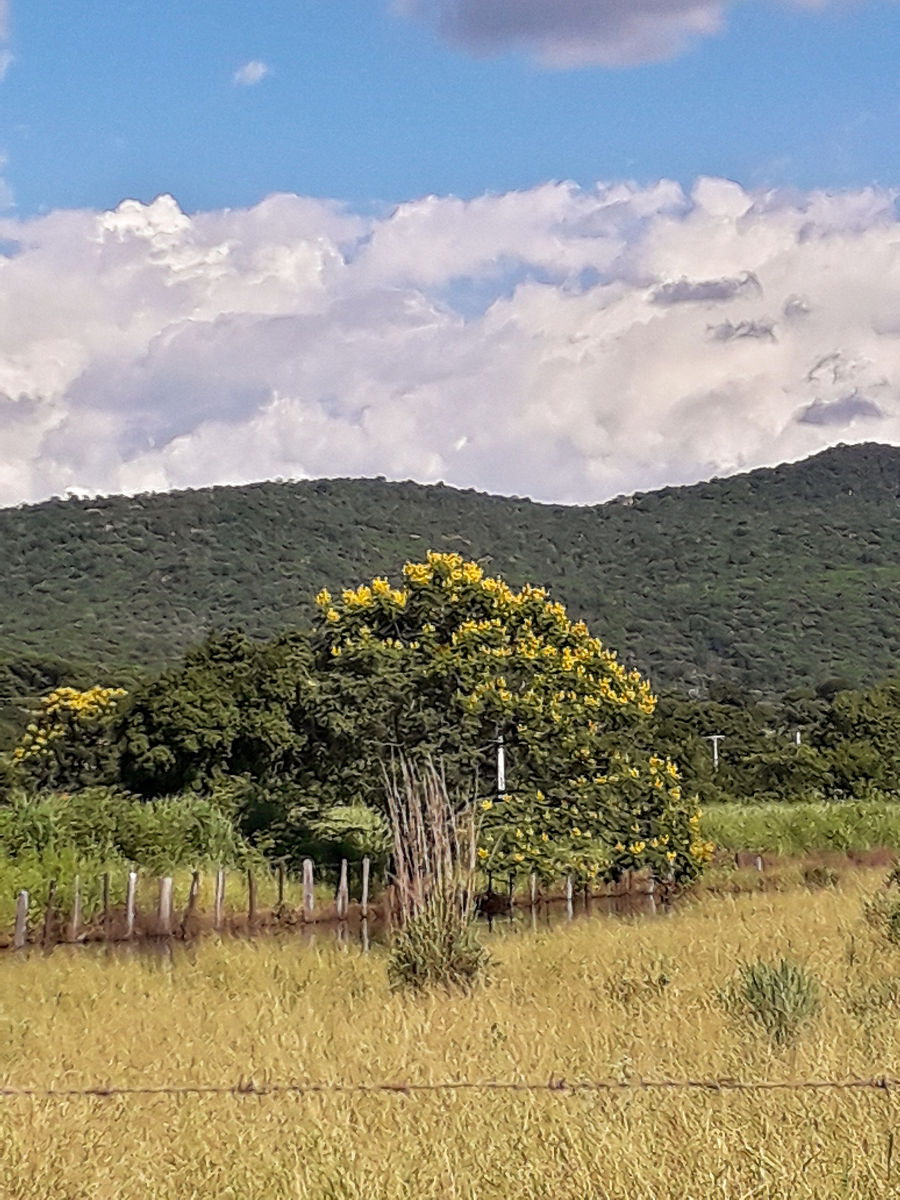 曲靖农业学校2022年三年制普通中专招生简章