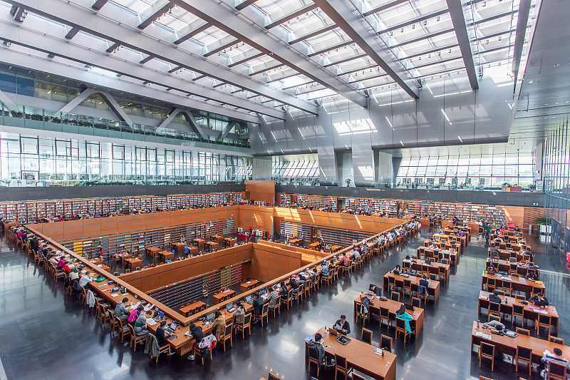 大学四年职业规划