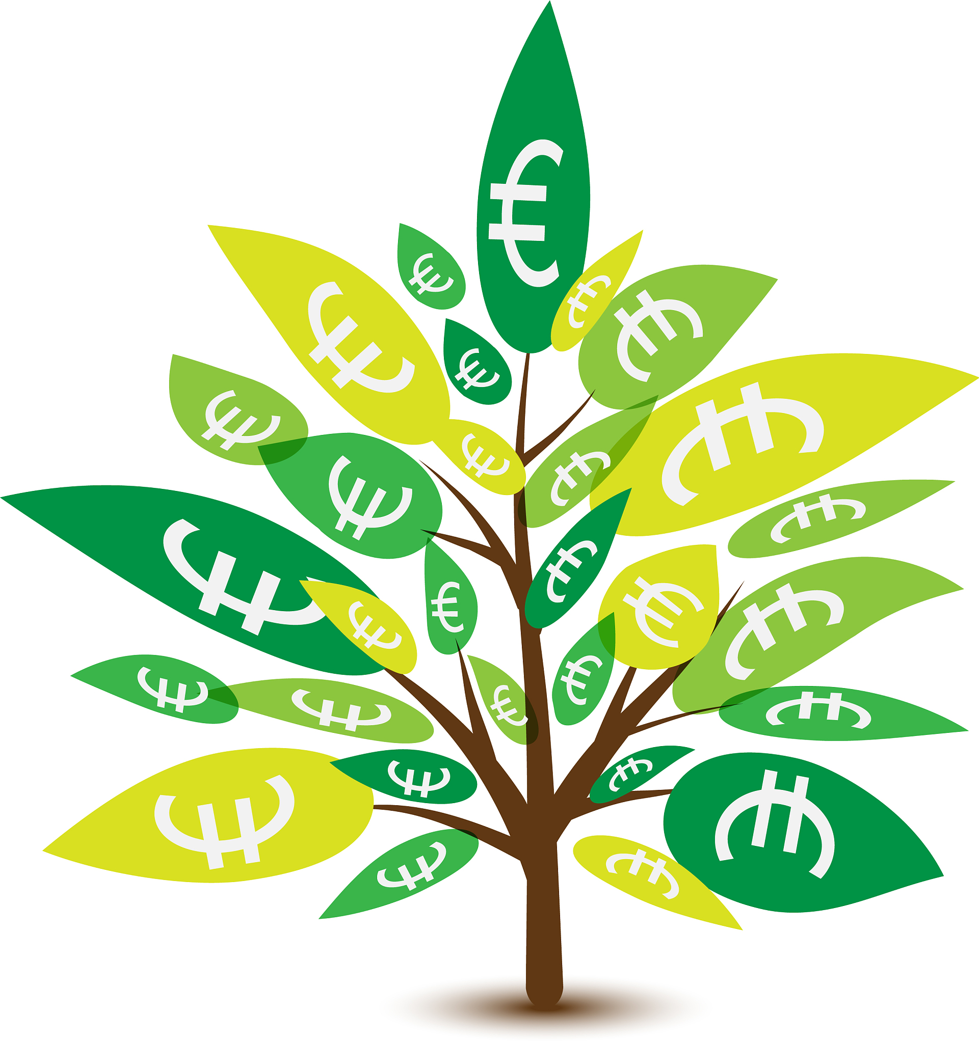 国际绿色金融业务全解析：八大领域详解