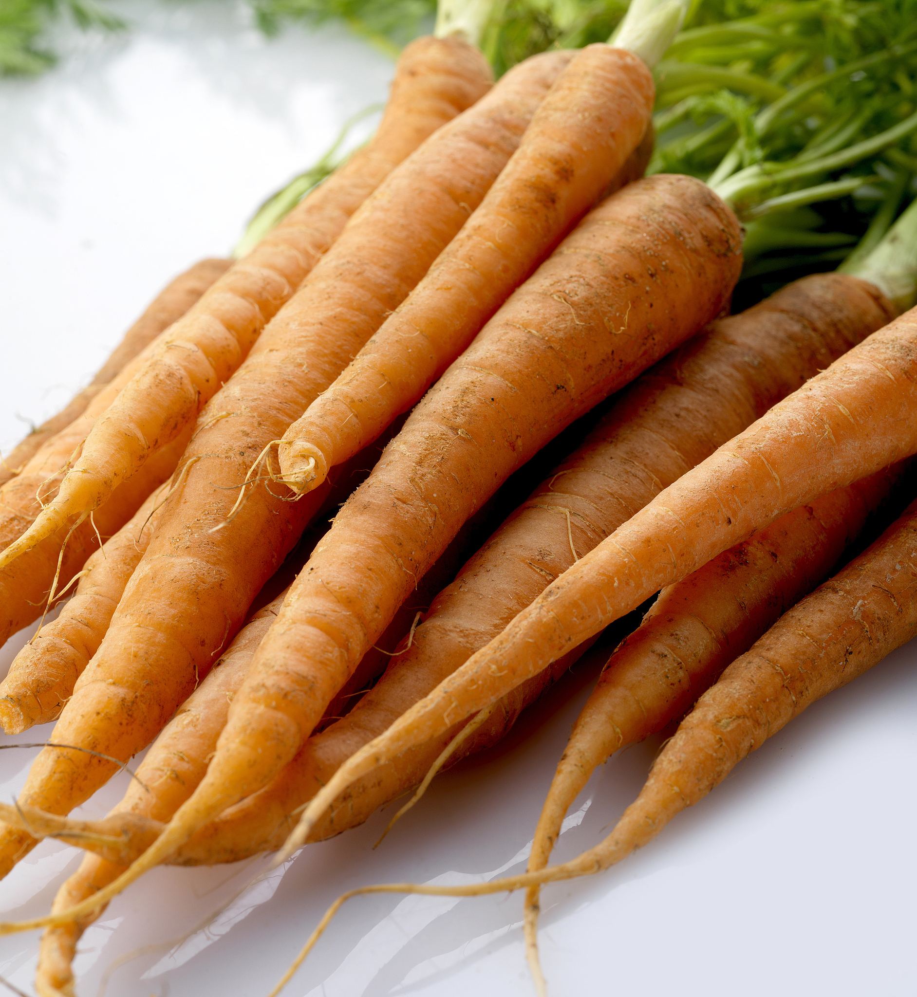 carrot pile