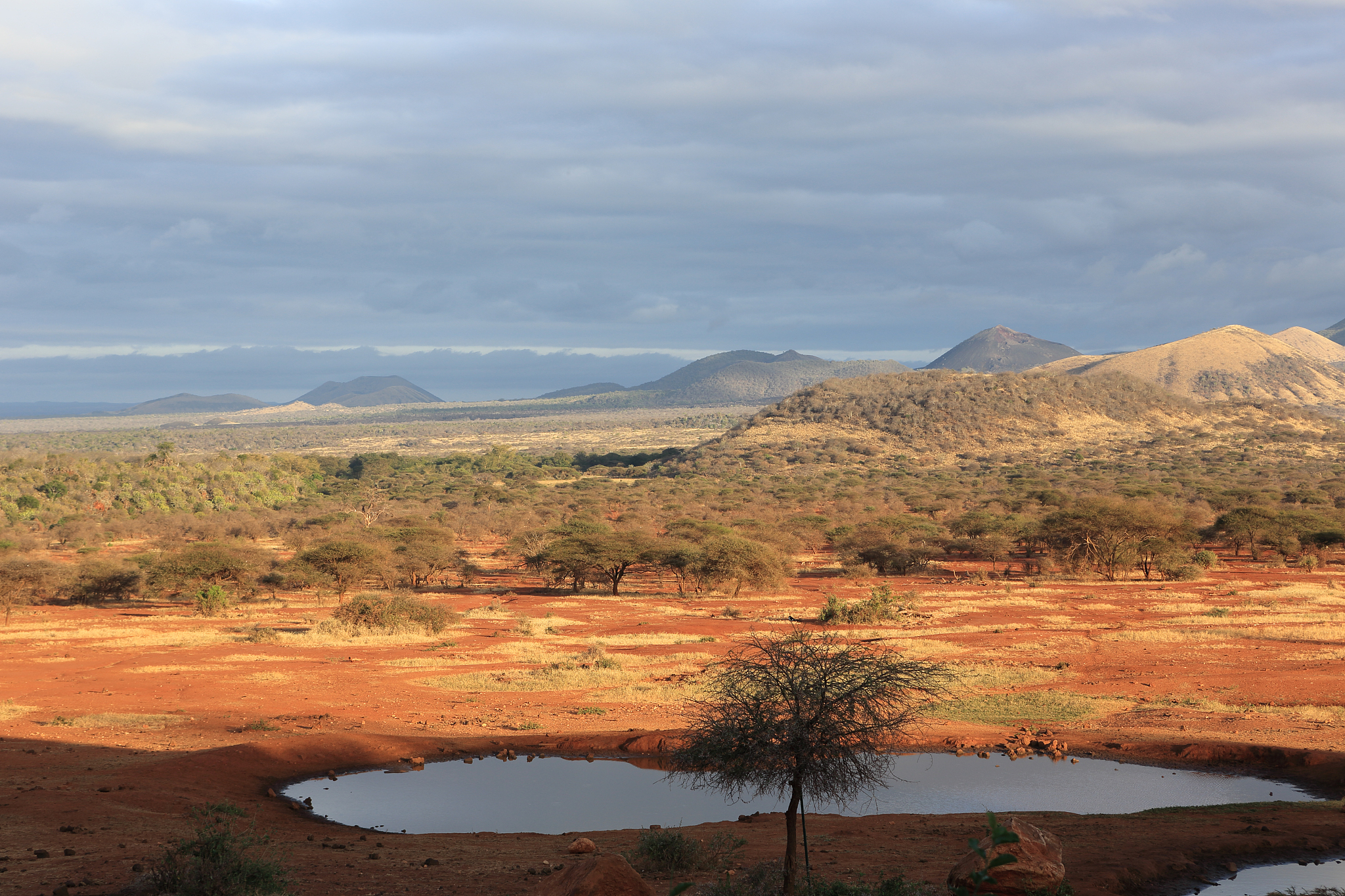 landscape at sunrise ,tsavo national park, kenya