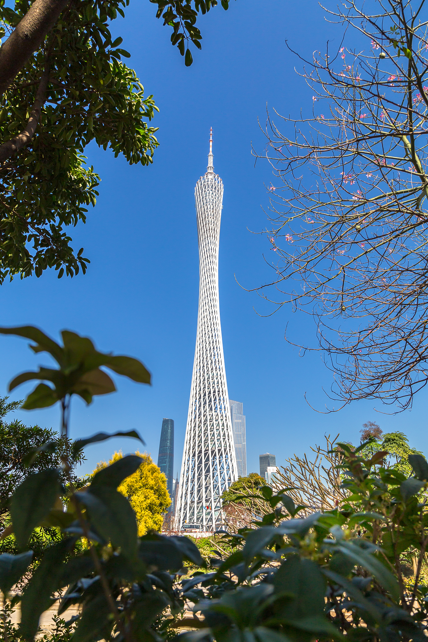 广州旅游景点大全：探索羊城历史文化与现代魅力