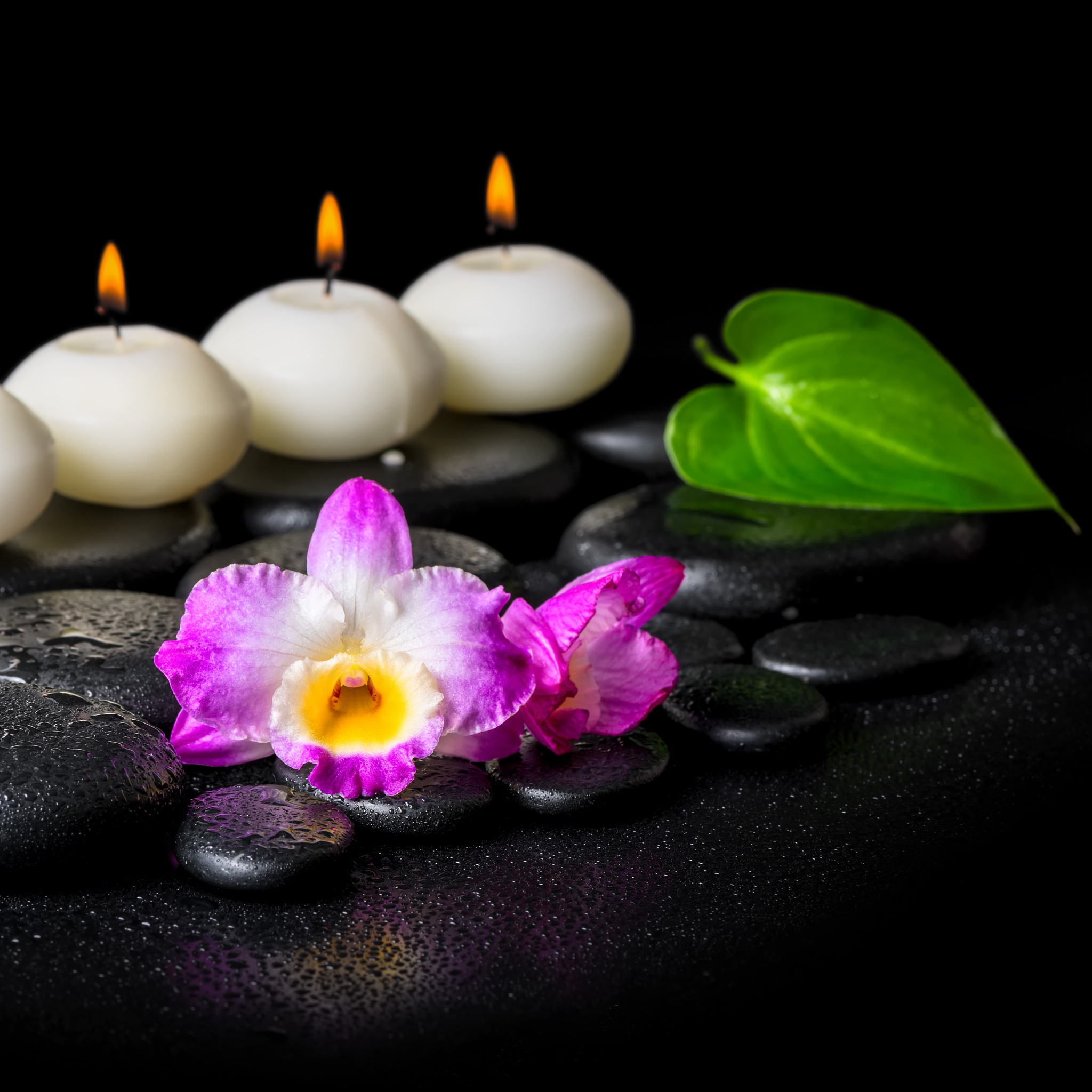 spa concept of orchid flower, green leaf and row candles
