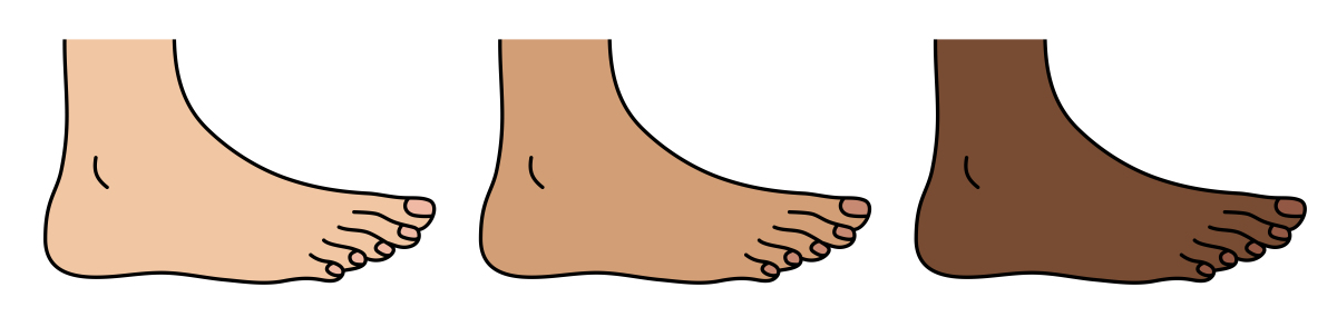 足部：人体的支撑与运动基础