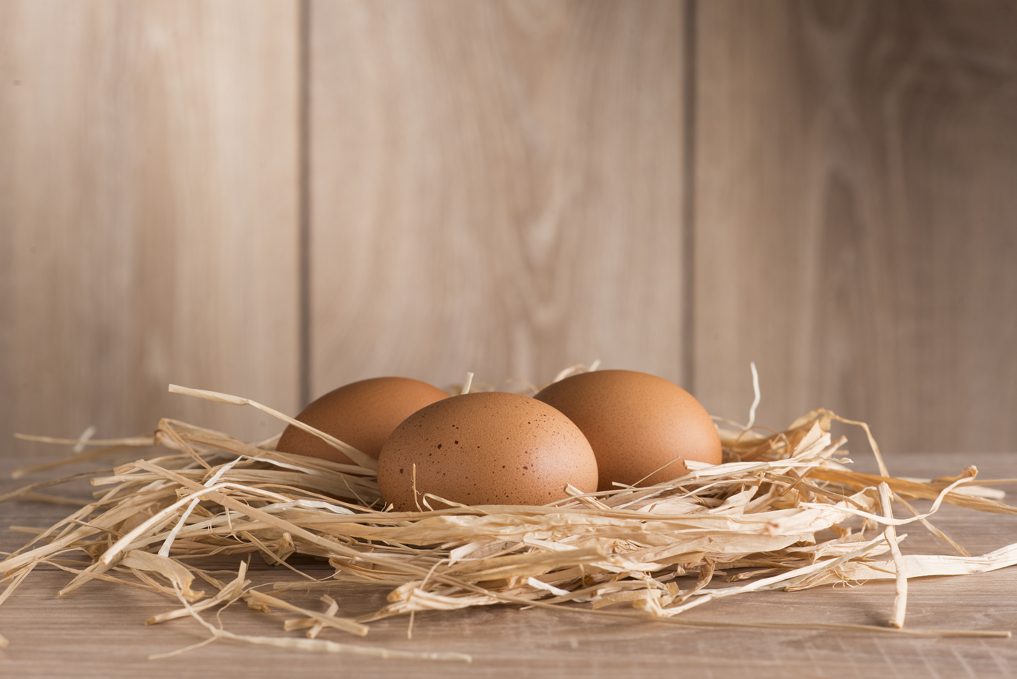 先有鸡还是先有蛋？这是一个古老的谜题