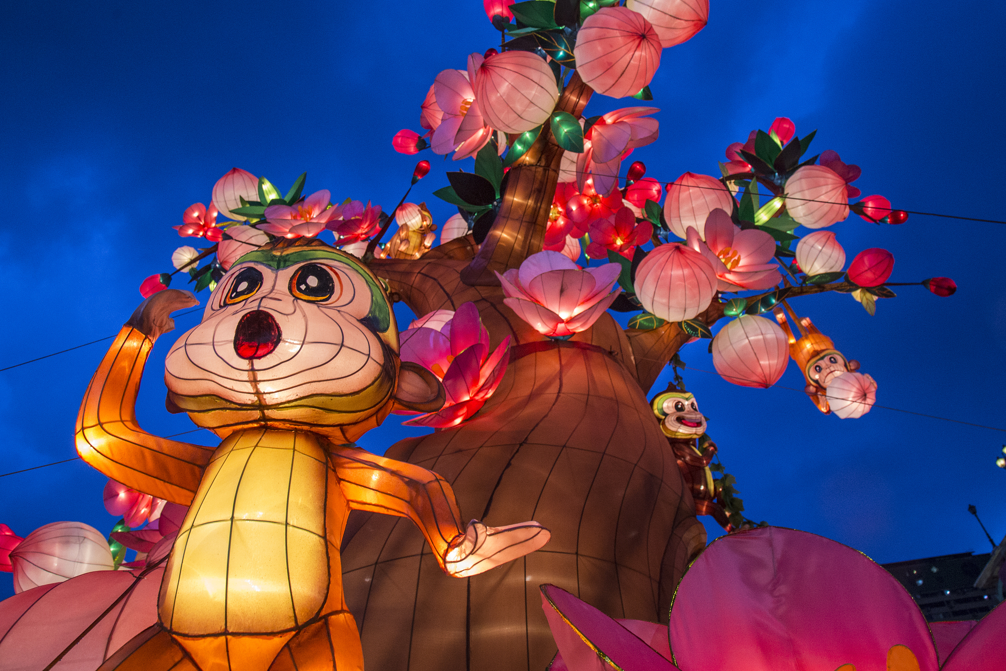 Two Little Tigers: A Lantern Festival Song