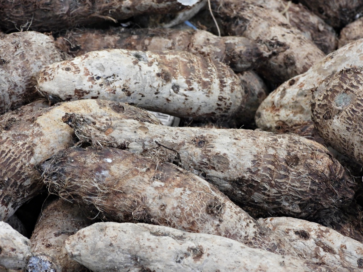 鲜山药和干山药的功效：营养价值和功效区别