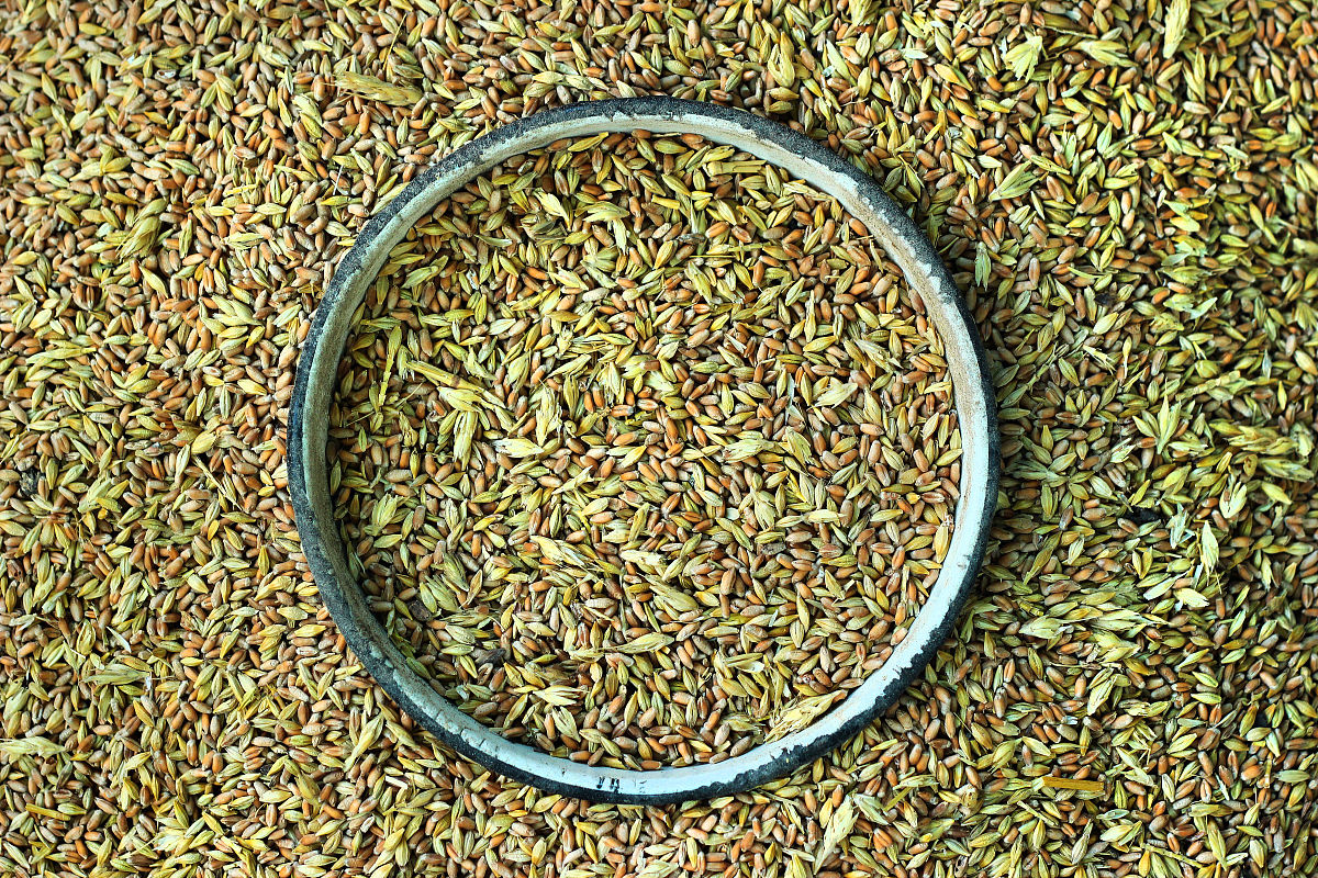 谷谷可以指以下三种含义：1 指山谷、河谷等地形是两座山峰或两排山脉之间的狭长下凹地。2 指粮食收获后经过打谷机将谷物的外壳去掉的过程也指去掉谷物外壳的颗粒。3 代指谷歌公司因其英文名为Google而谷音与谷歌音相近所以又称为谷。补充：4 在中医中谷指五谷杂粮包括稻、麦、粟、豆、稷等粮食作物。5 在音乐中谷是指演奏乐器时手指离开琴键或吹口琴时琴弦或气流产生的短促声响。6 在计算机科学中谷指图像处理中