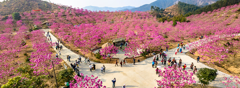 江门新会机电职业技术学校2023年招生办联系电话