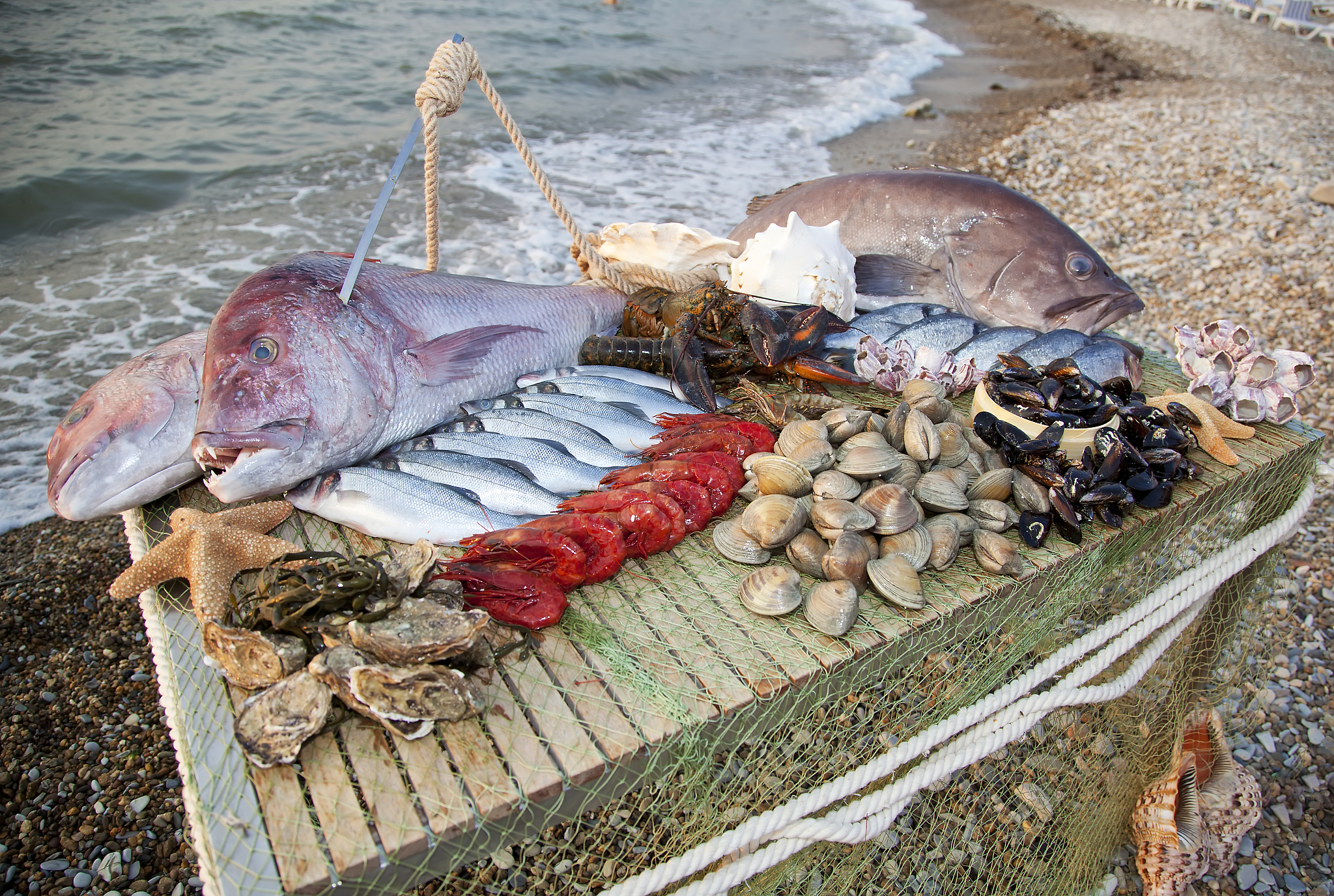 天天吃海鲜有什么危害，