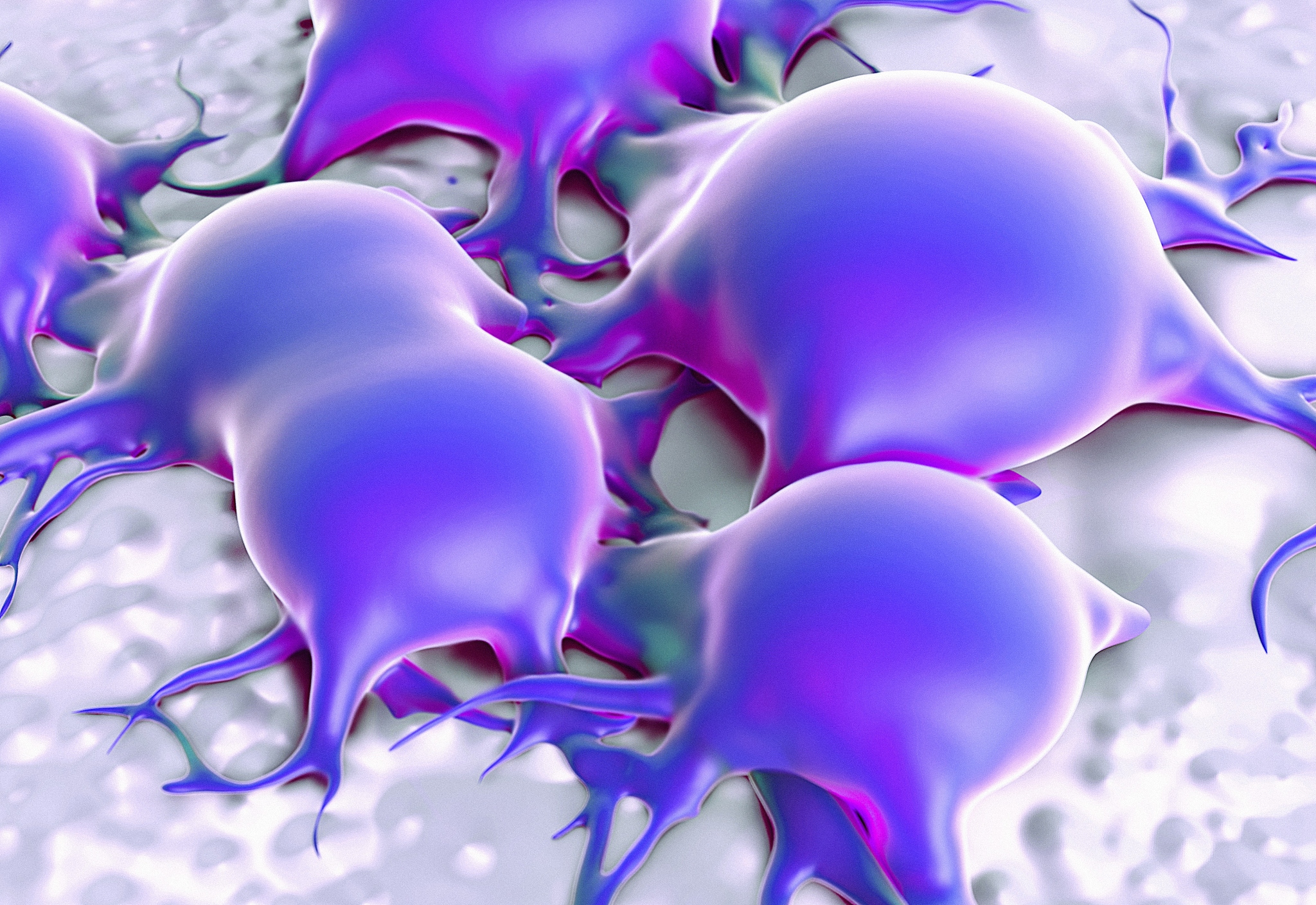 脂肪是组成细胞的主要有机物之一吗？