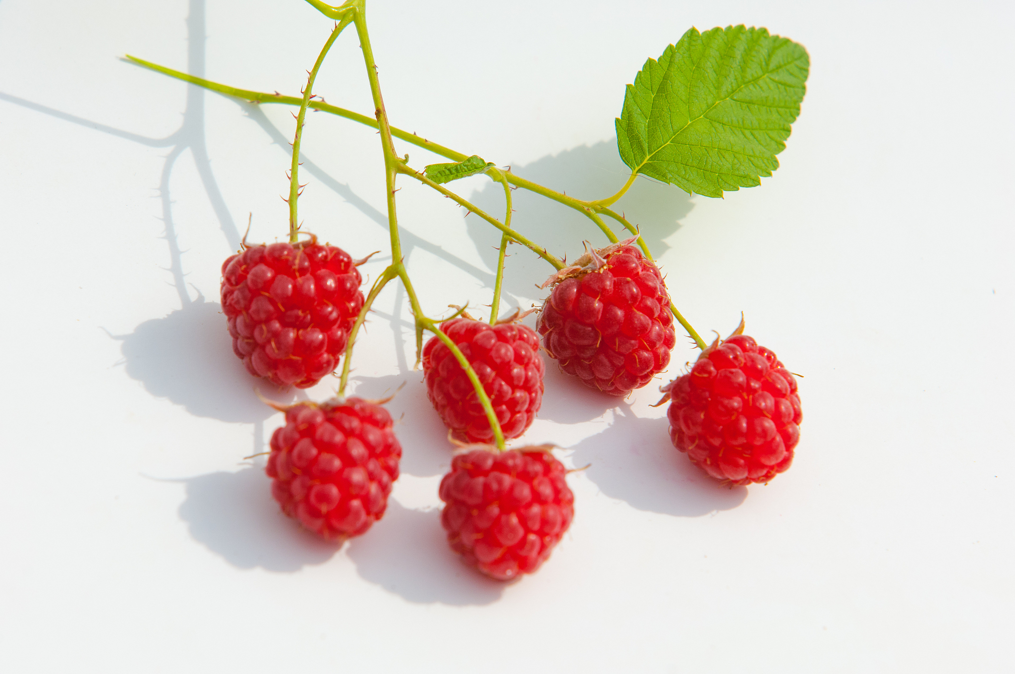 raspberry
