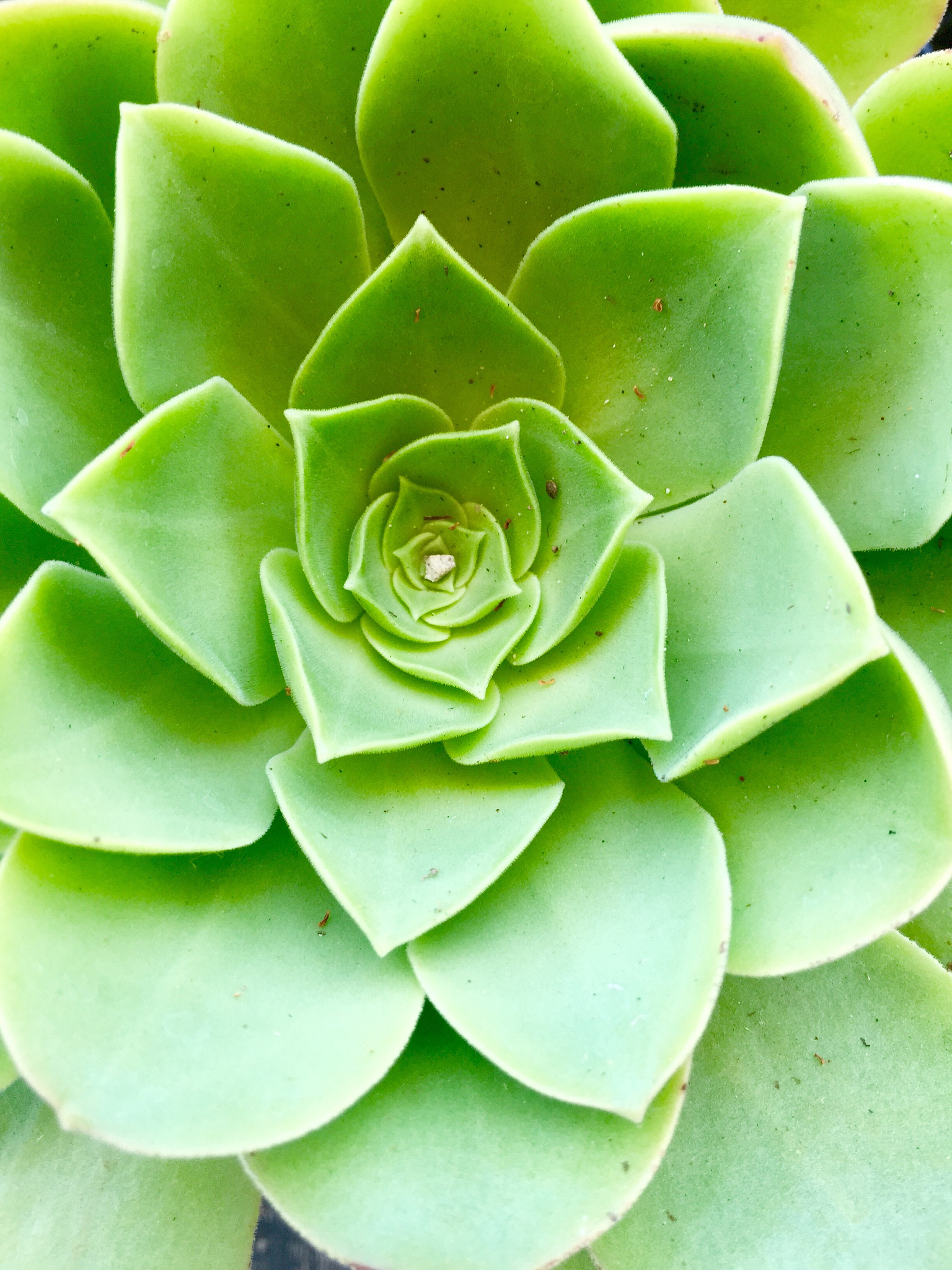 重庆资源与环境保护职业学院单招电话 - 培养环保人才，助力绿色发展