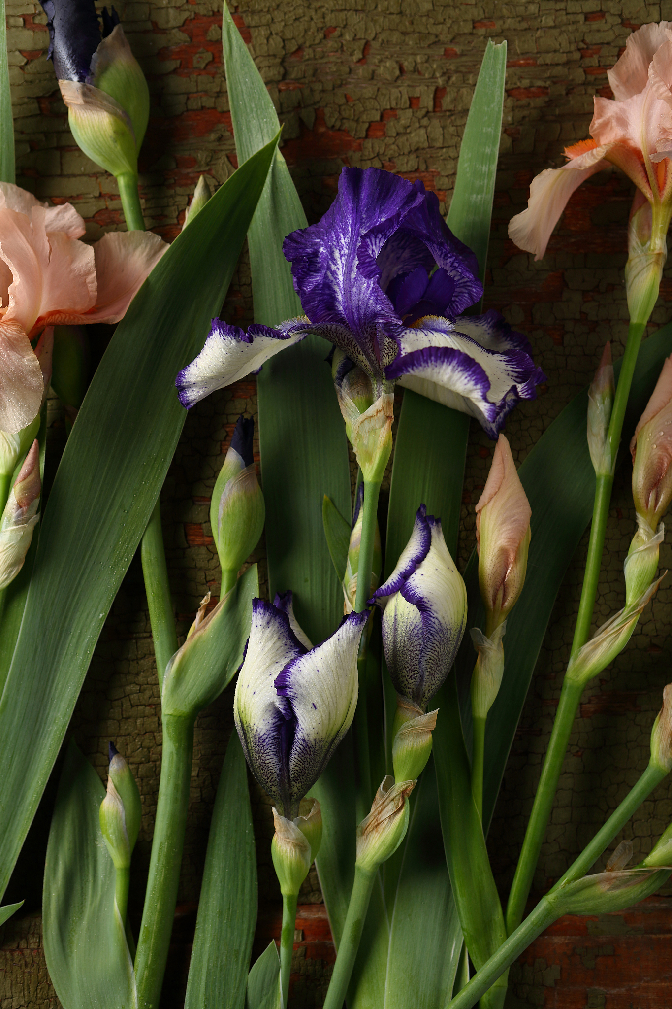 natural colorful flowers background