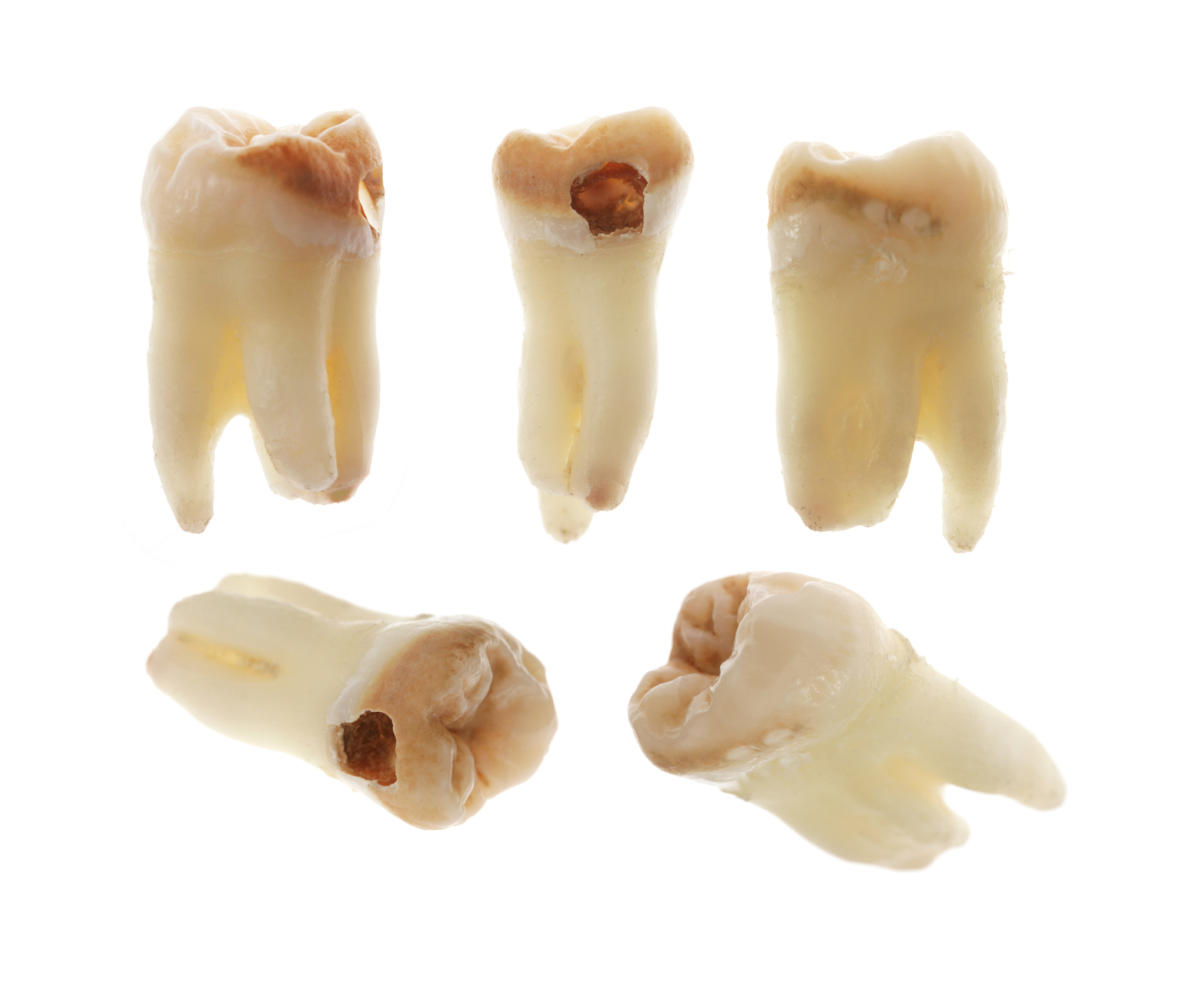 成都卫校大专招生专业及就业前景：2021年最新信息