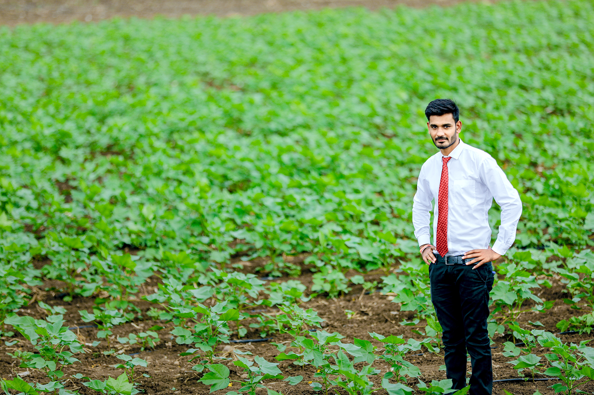 临夏农业学校是本科还是专科？- 了解临夏农业学校办学层次