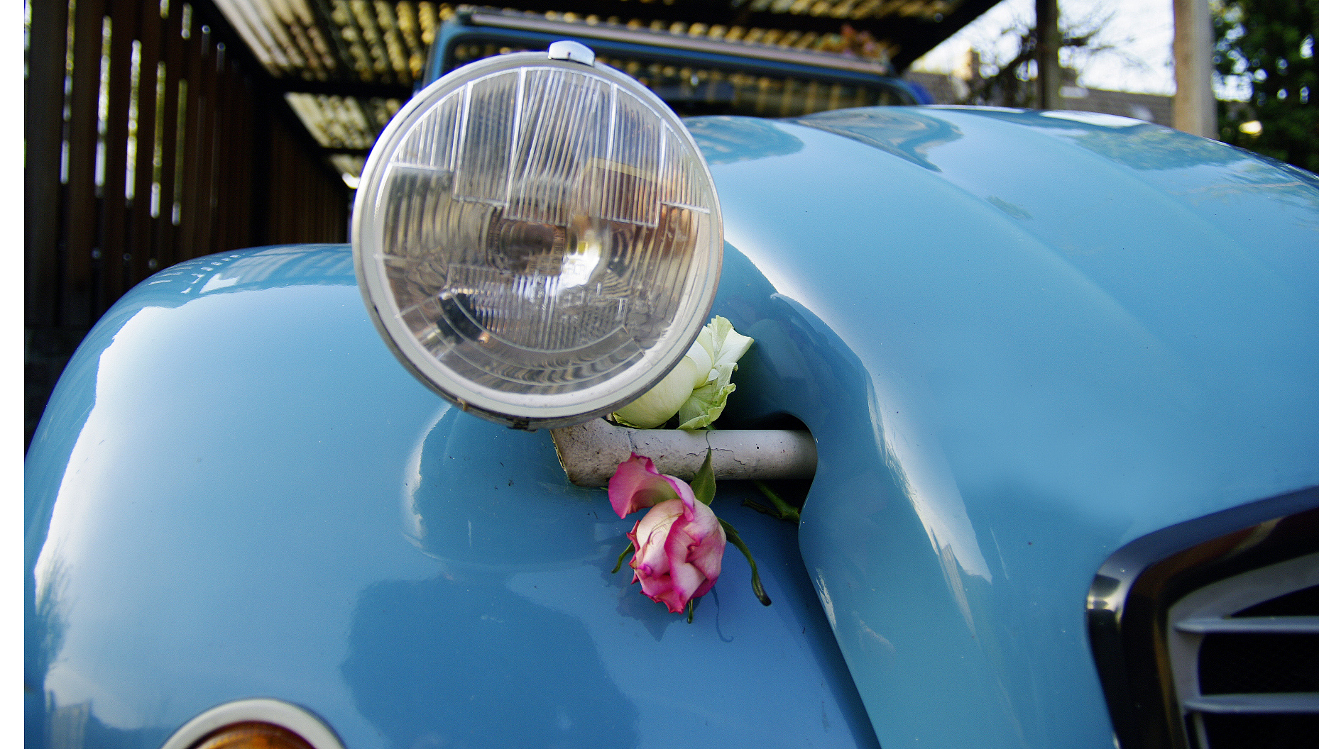 headlight of a car