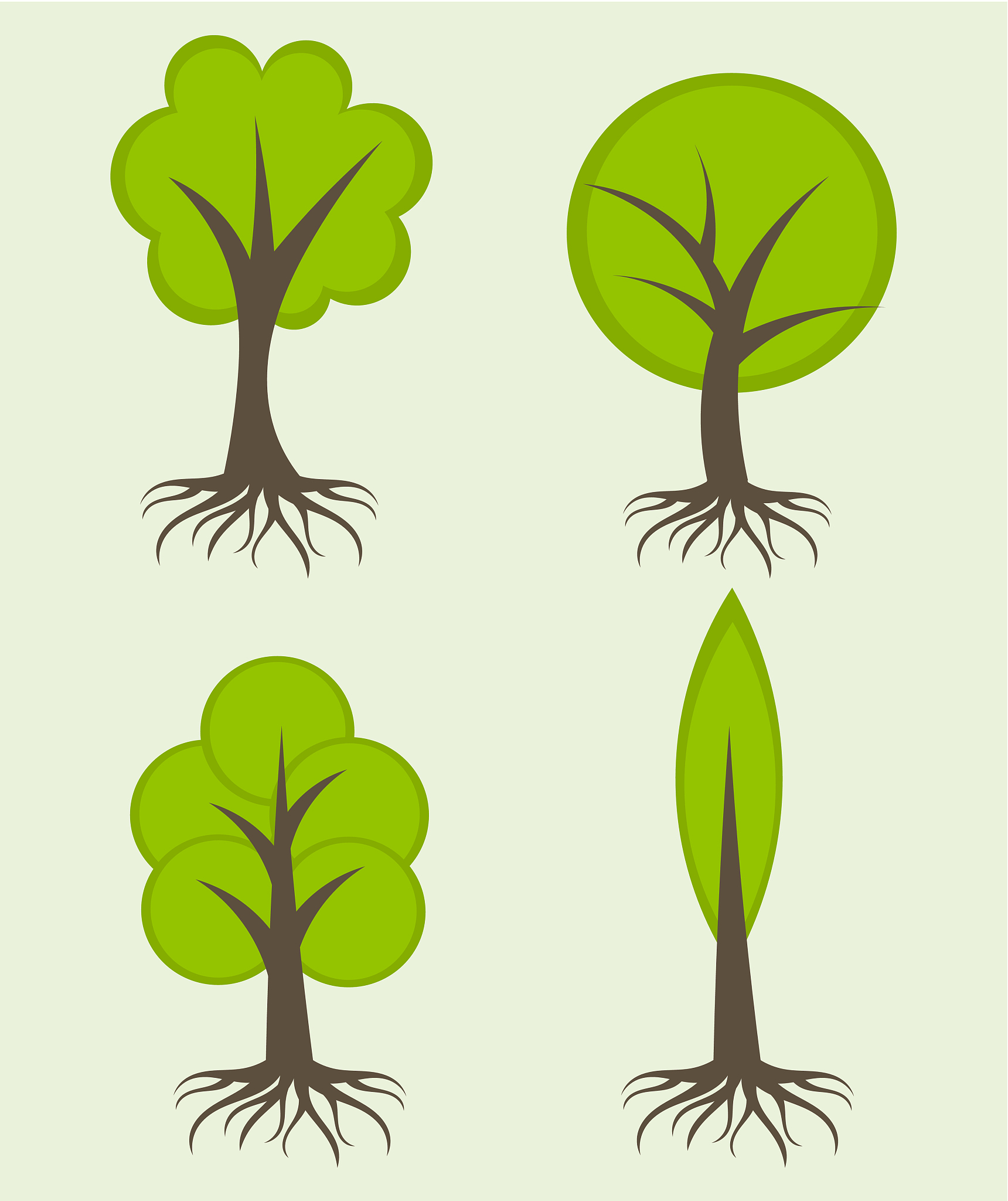 植物如何吸收水分？5种途径详解