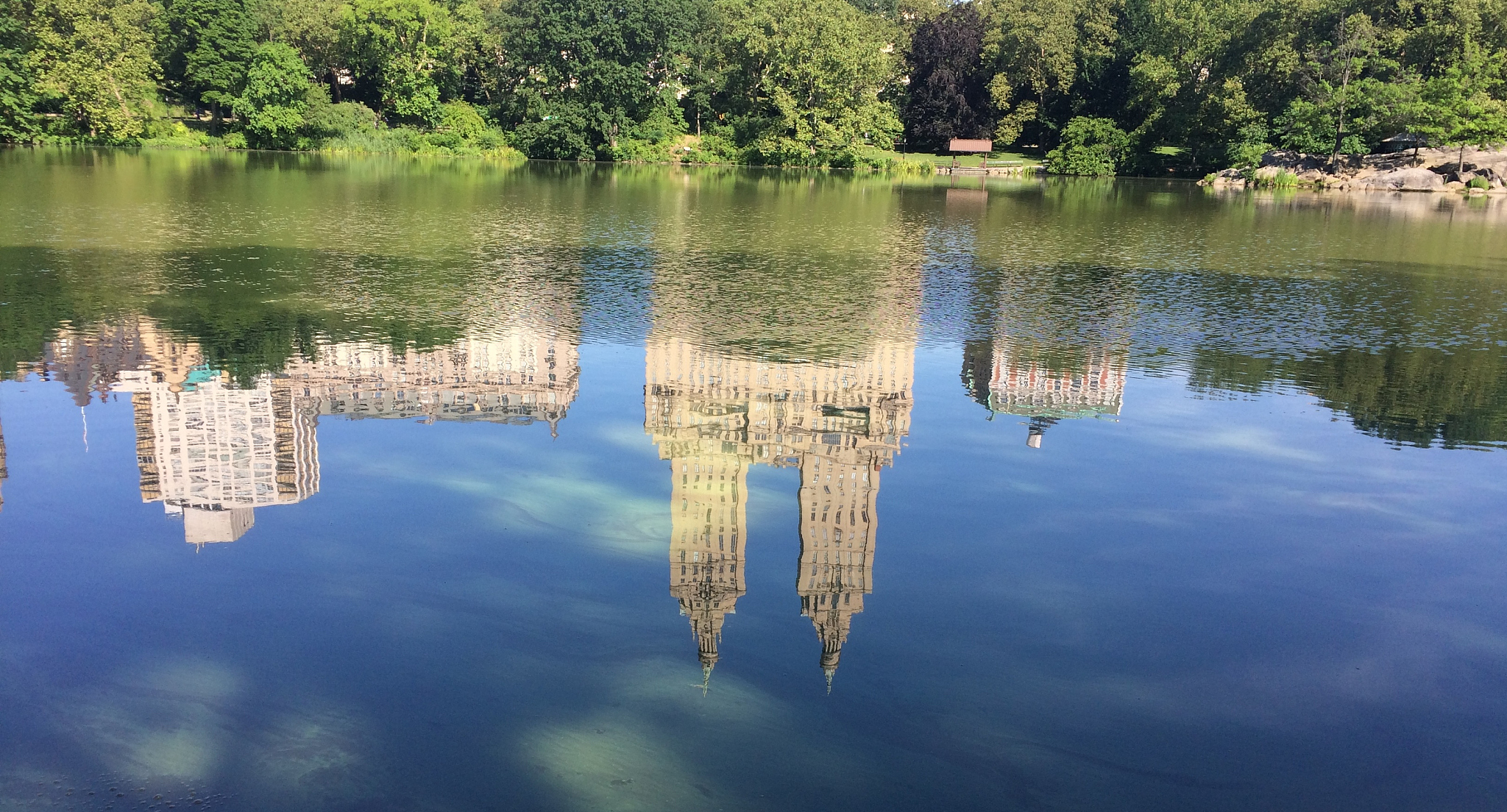 reflection in central park