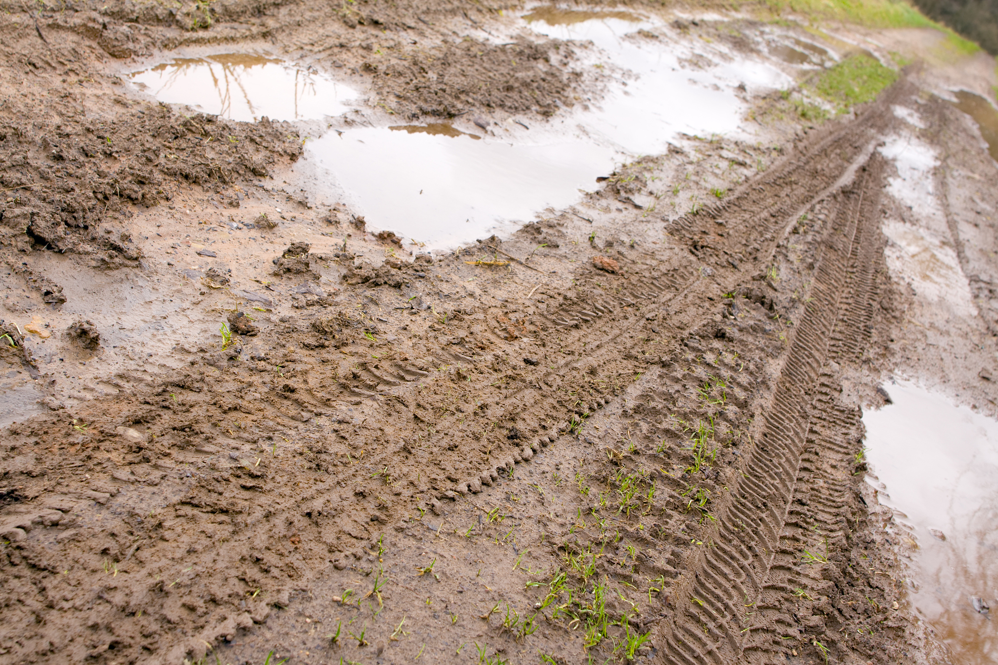 土壤盐渍化研究：成因、危害、改良措施
