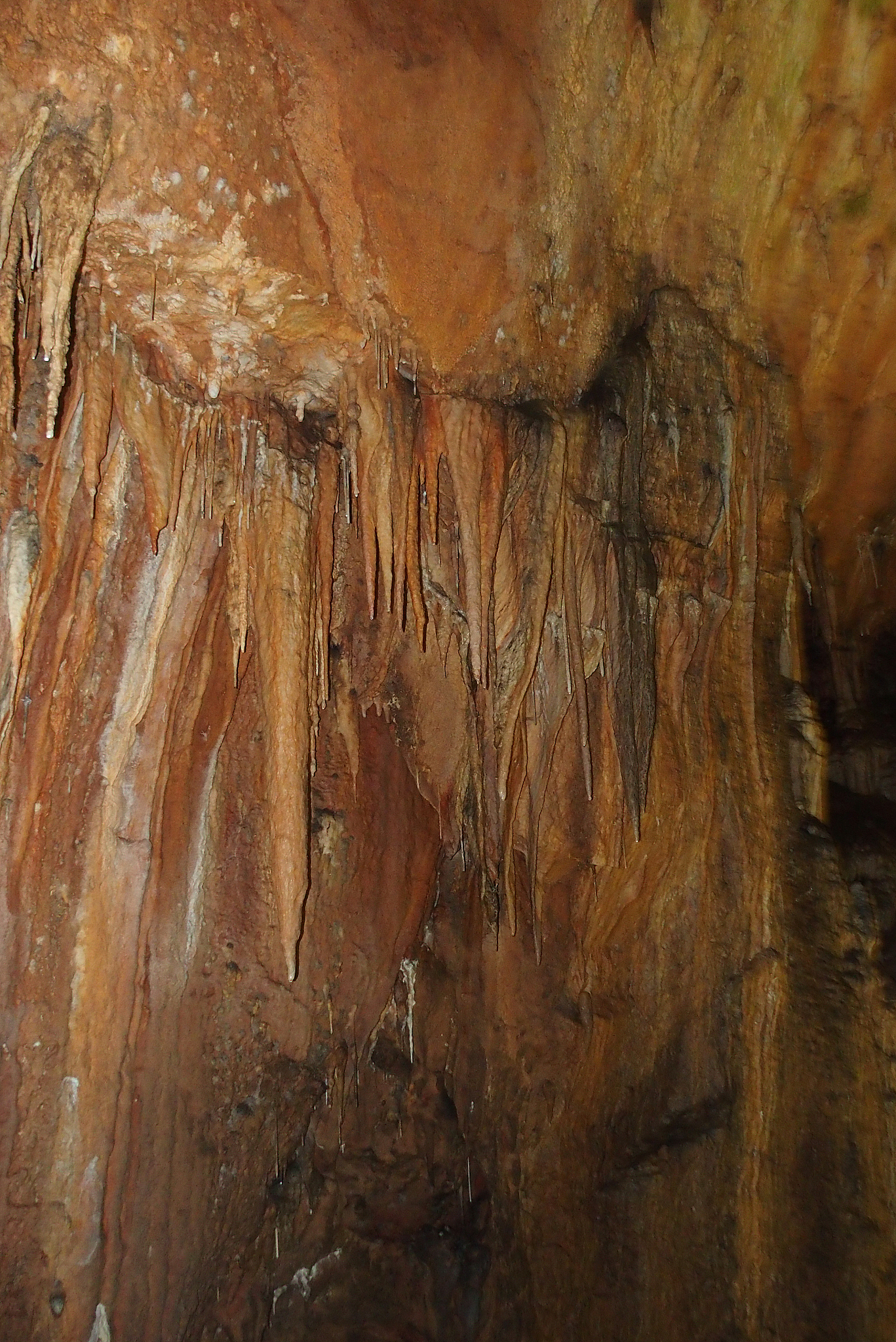 甘肃安宁天斧沙宫地质发展史：从古生代到现代