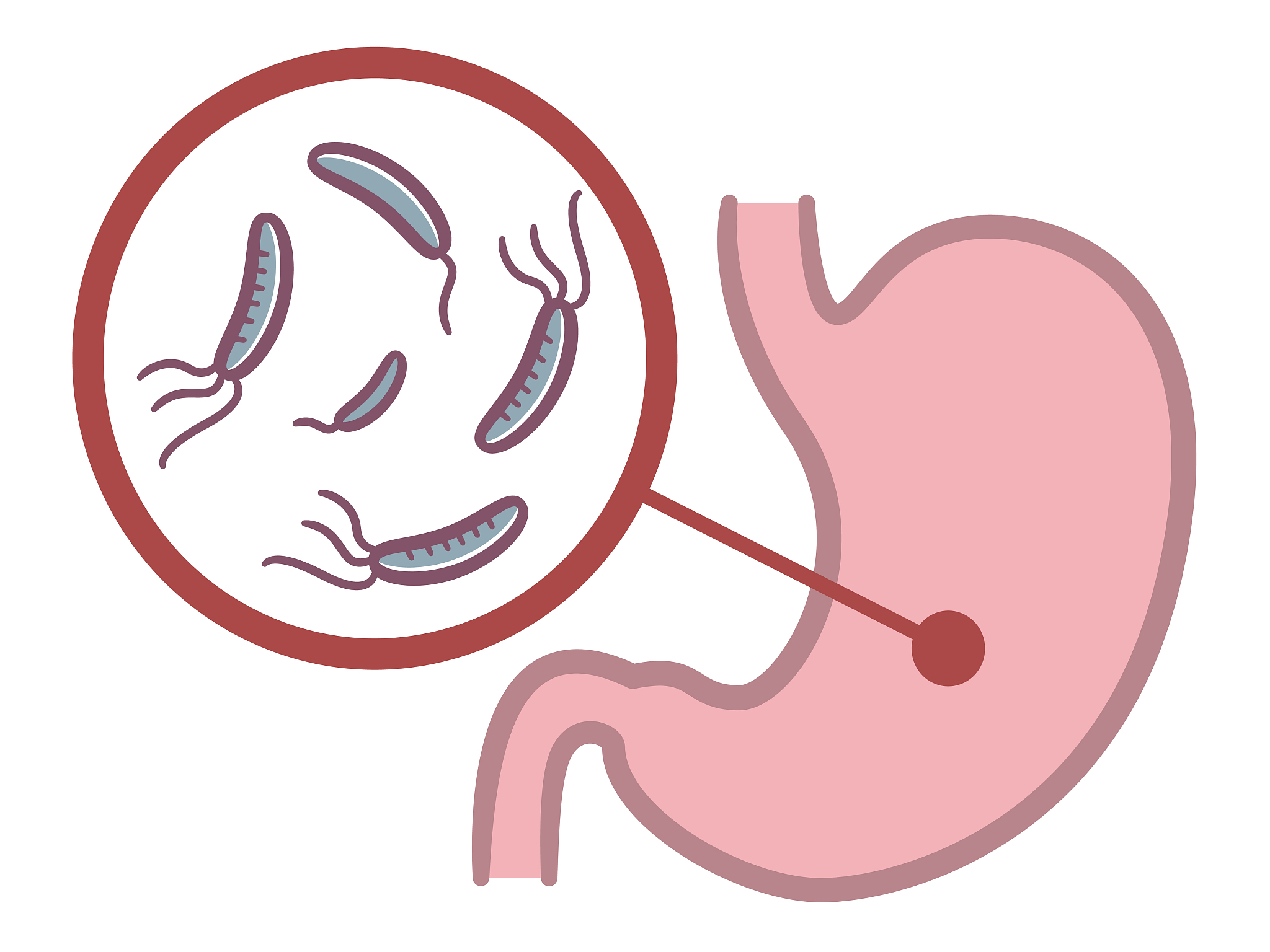 2粒药丸战幽门螺旋杆菌，肠胃健康活力满满