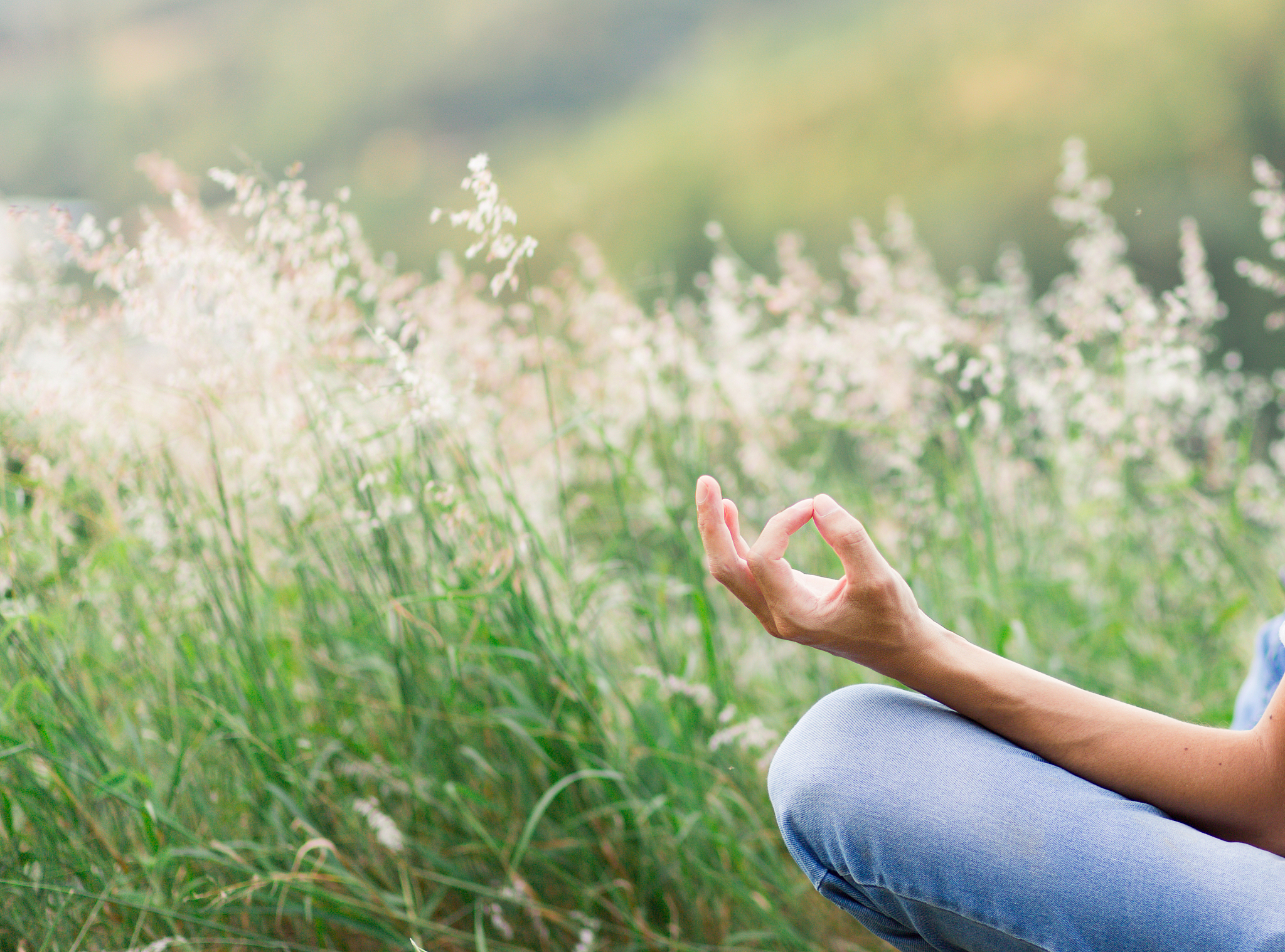 生活中的快乐：拥有、信任和自由