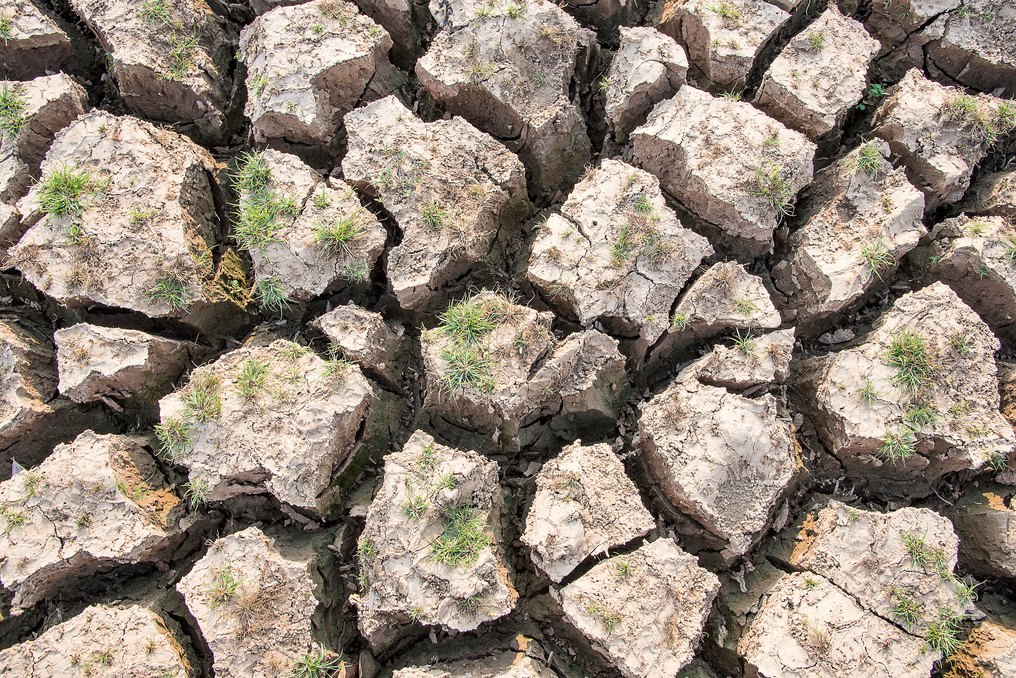 土壤有机质是土壤团聚体形成过程中重要的粘结物质是团聚体形成的主要粘结剂维持团聚结构团聚体对土壤有机质也具有保护作用二者相辅相成密不可分。润色一下这个句子