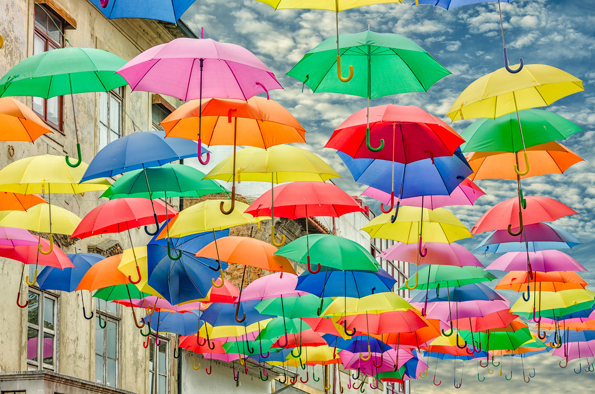 colores