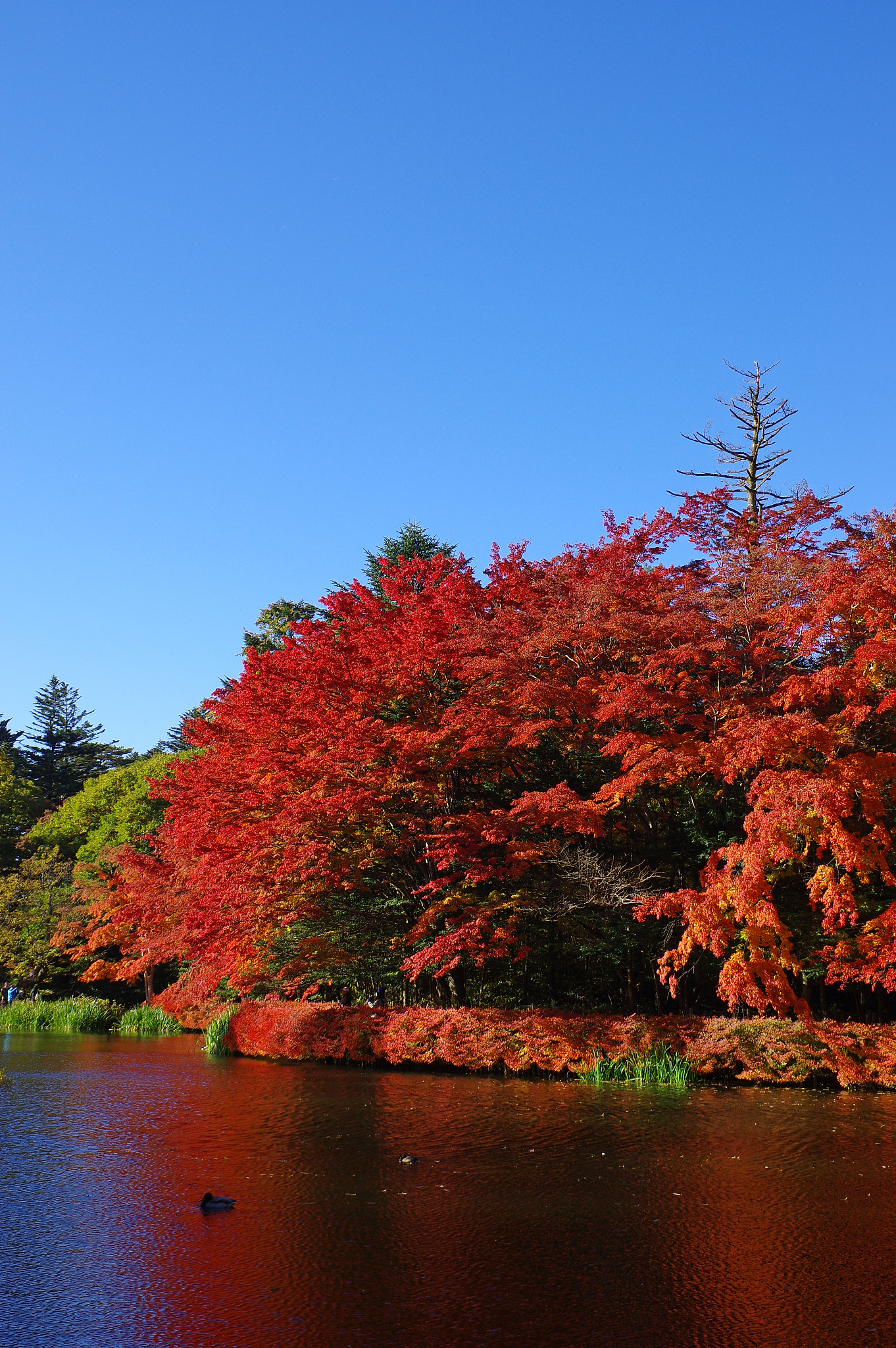 推荐一款手机游戏