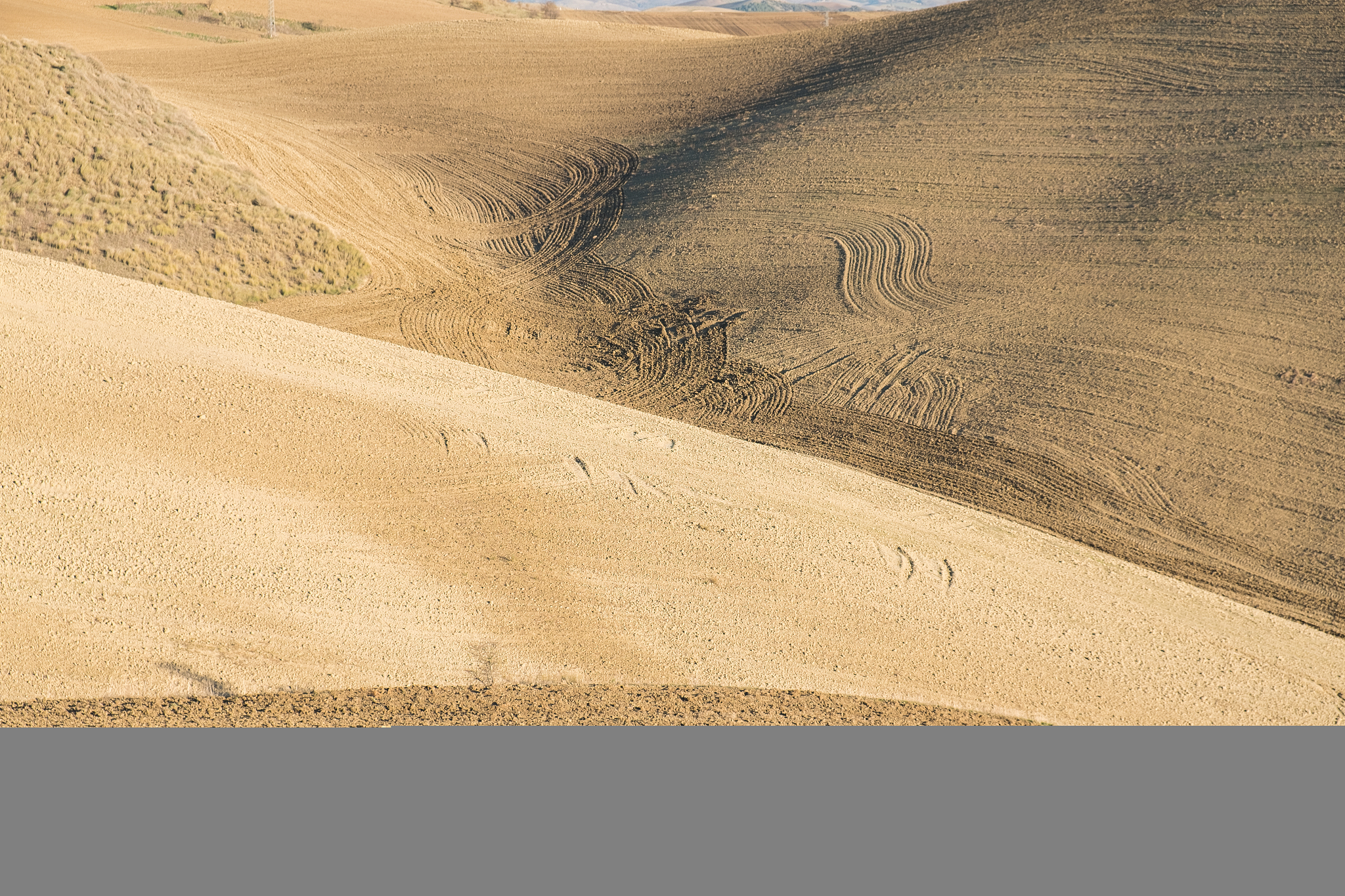 a field near matera, basilicata