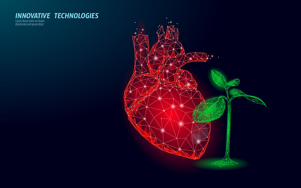 幼儿教育内容及注意事项：全方位培养孩子成长