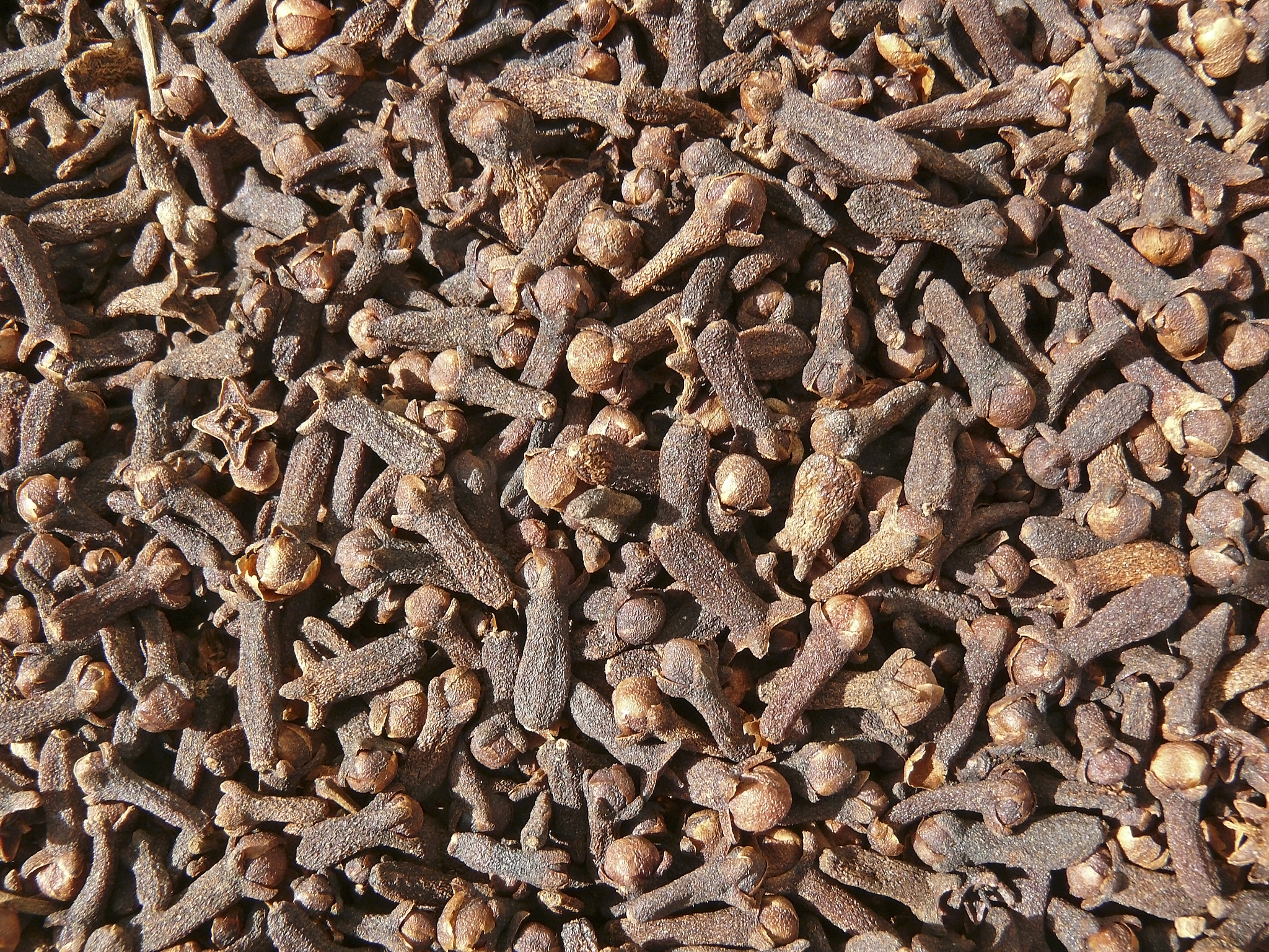 读雨花英烈丁香的故事写800字读后感