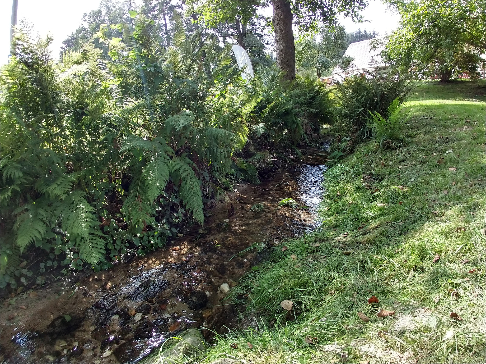 石柏路：地名由来及含义解析