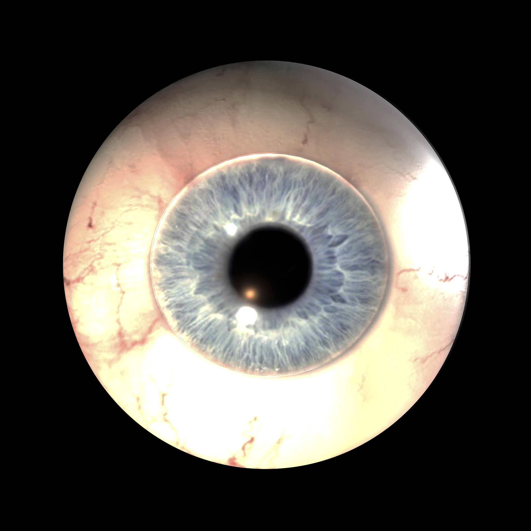 瞳孔观察：解读身体和心理状态