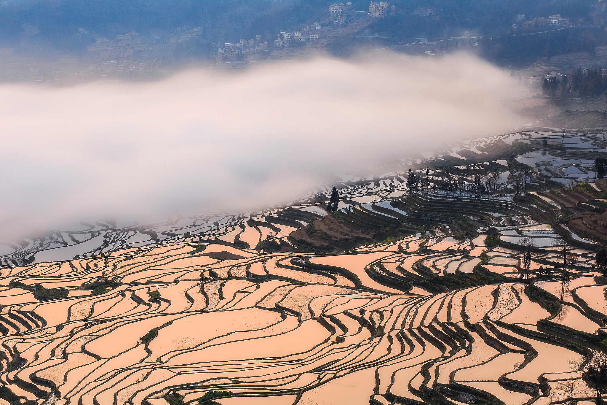 红河州农业学校怎么样？教学质量、住宿环境及社会责任分析
