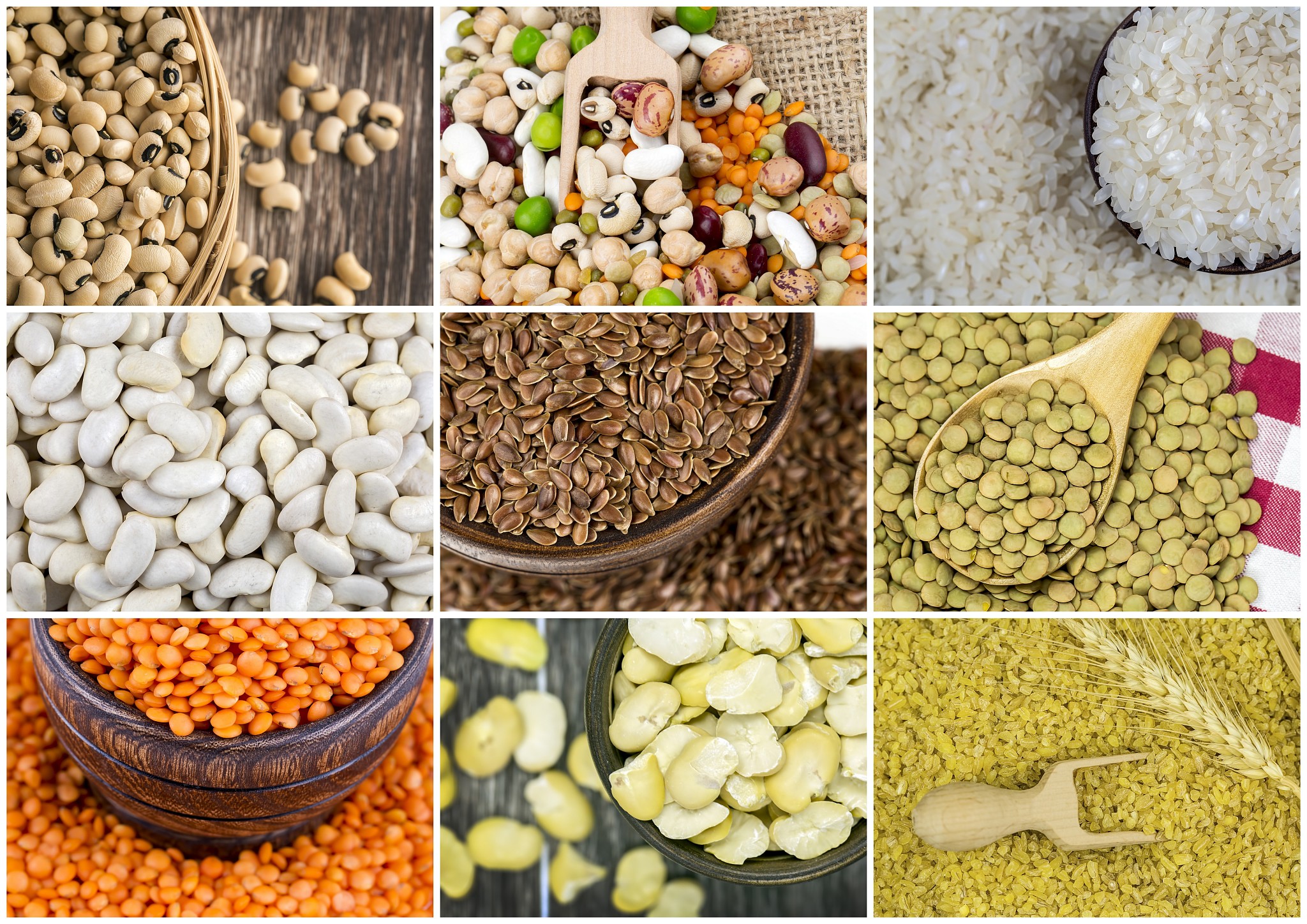 dried foods; mixed legumes. isoleted on the white background