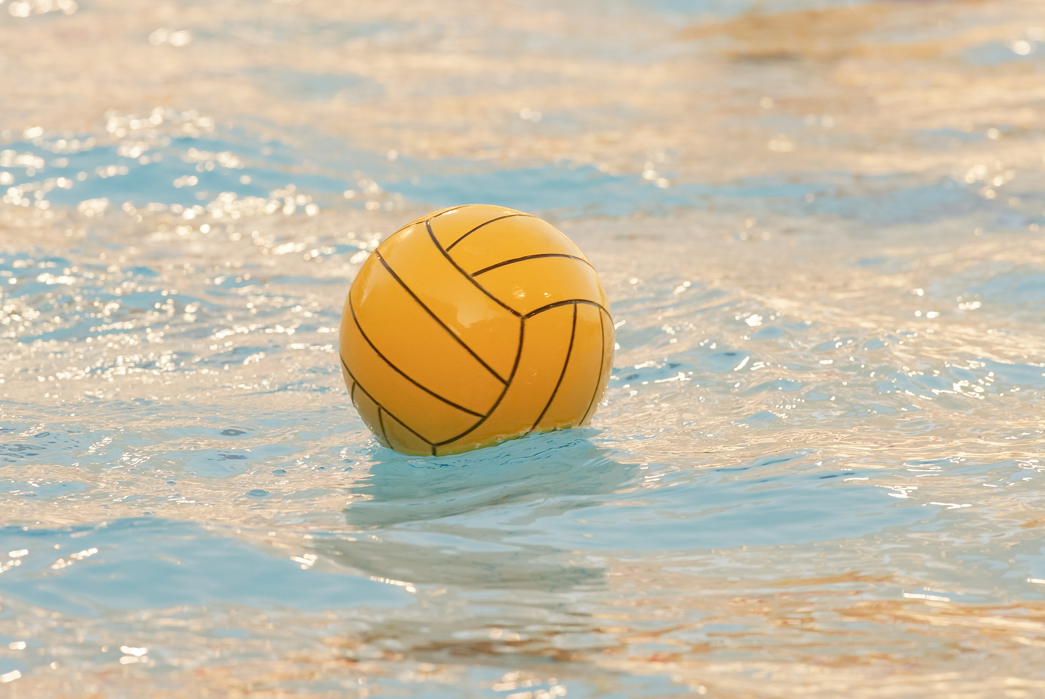 water polo ball floating in pool