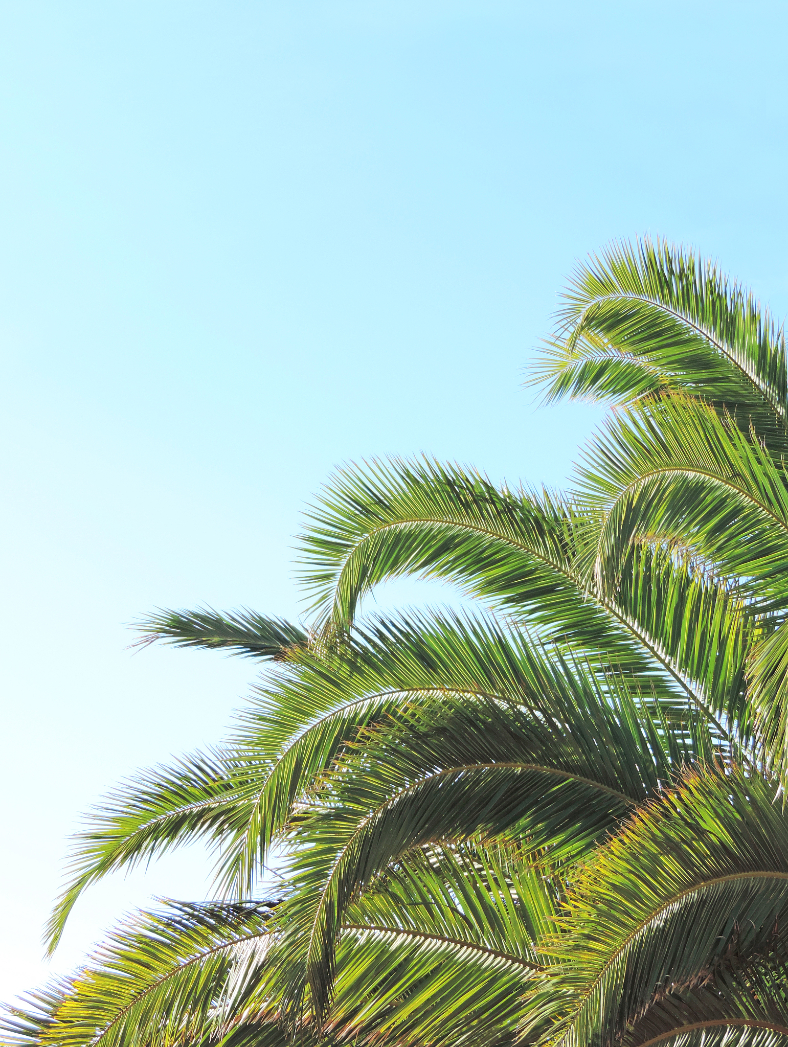 加速度定义及解释：速度变化率详解