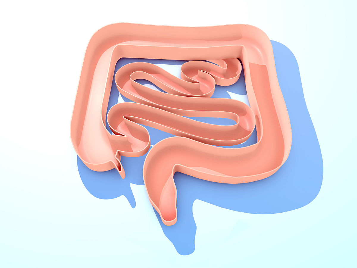 江西农业工程职业学院动物医学专业课程内容：学什么？就业方向？
