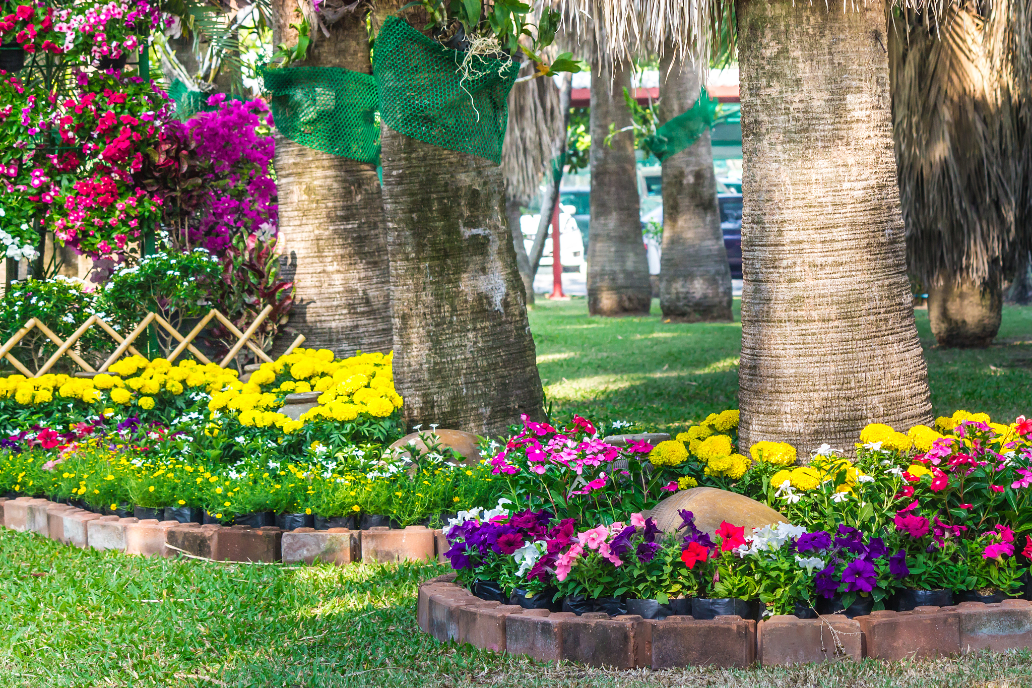 兰州园艺学校2022年招生专业一览：园林、园艺、土木工程等