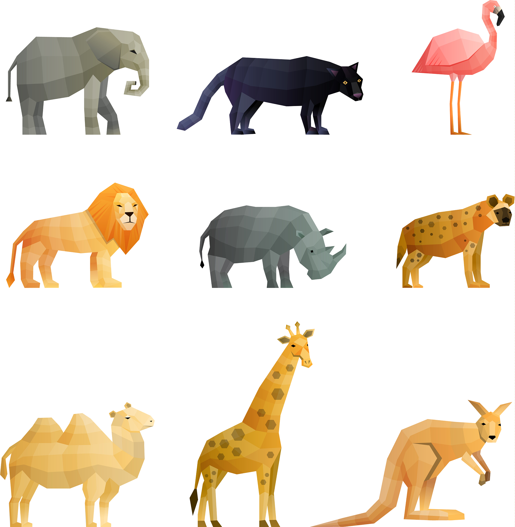 野生动物在你的国家？如何回答英语口语问题 'Are there wild animals in your country?'