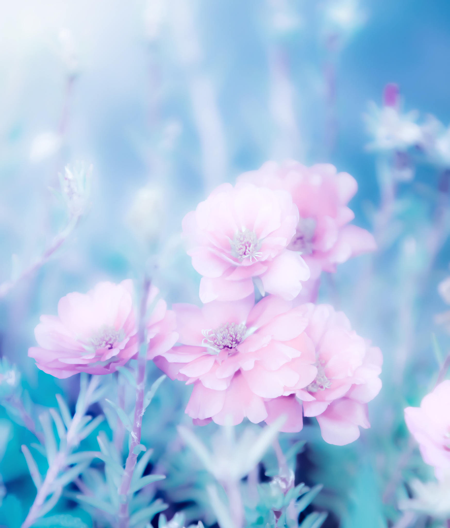 好听的网名大全：文艺清新，意境优美