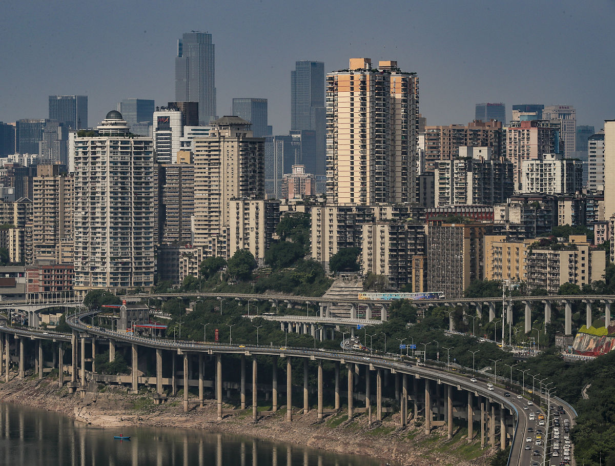 论述重庆市森林资源减少问题分析请结合重庆市森林资源实际情况进行阐述不得少于800字。