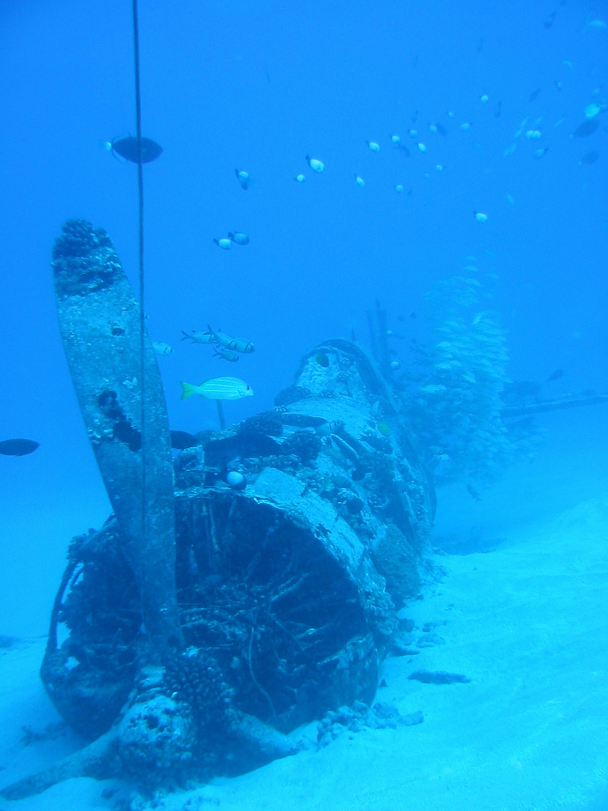 sunken corsair
