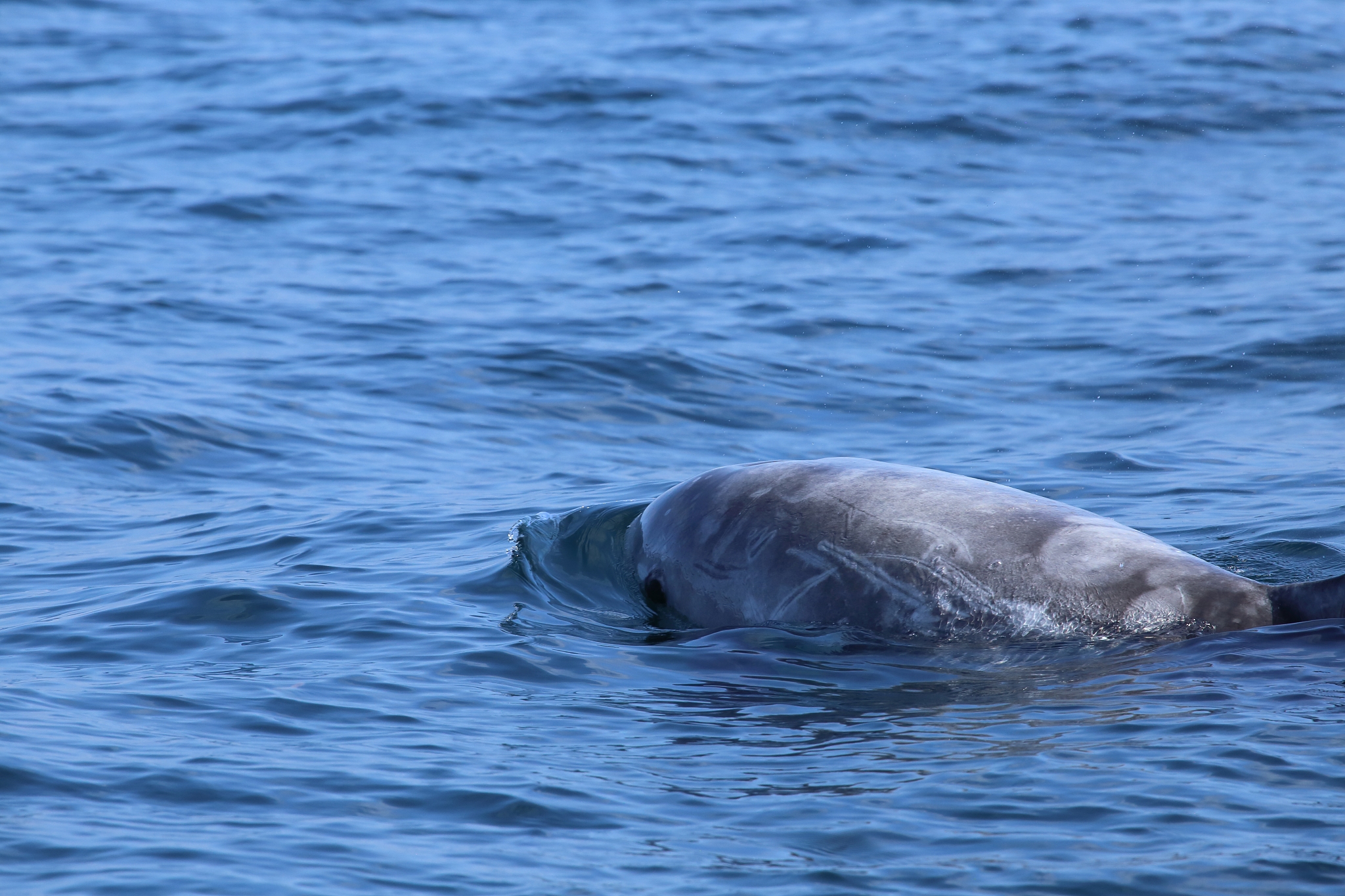 荣成市好当家集团海洋学校地址地址在哪里